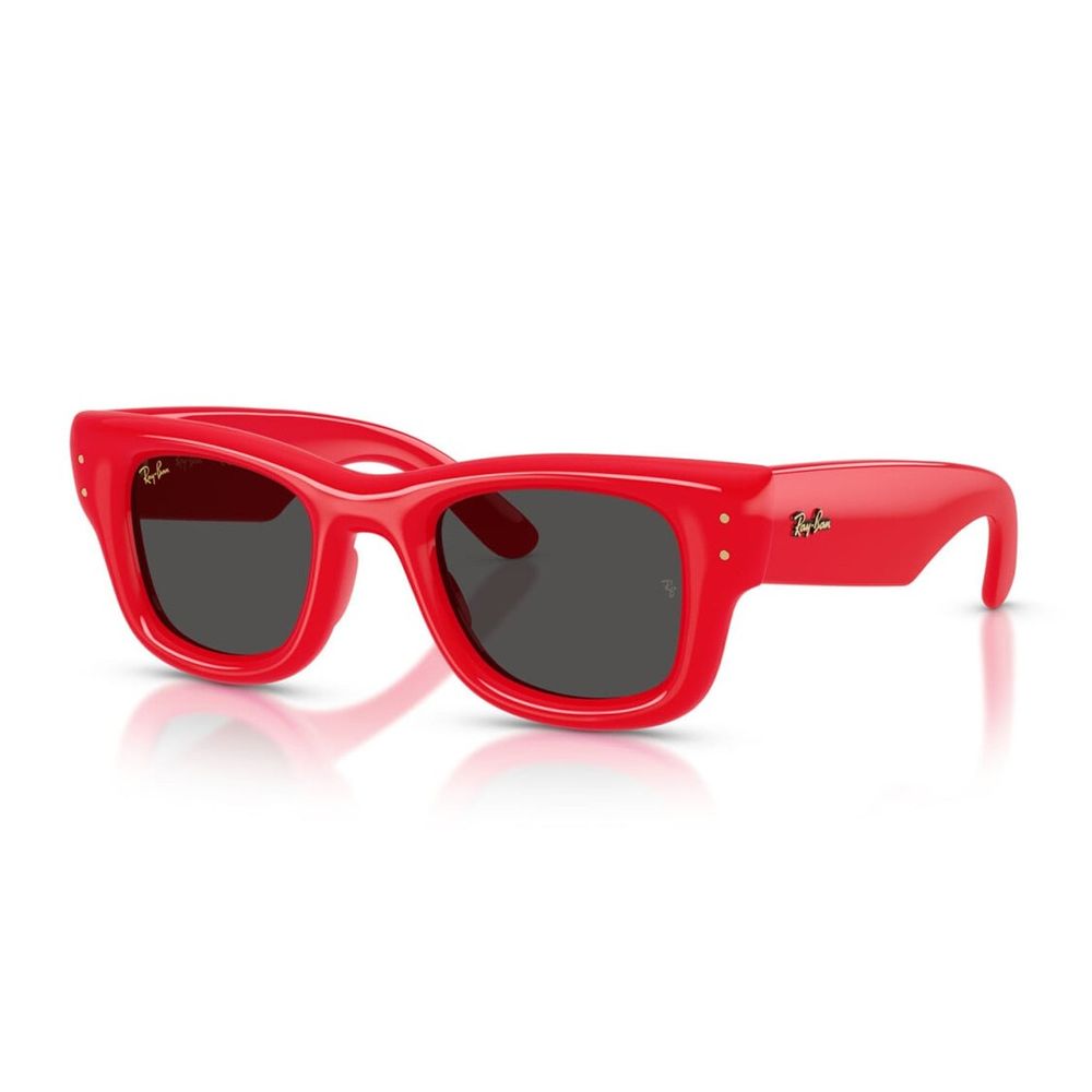 Rb4940 Wayfarer Puffer