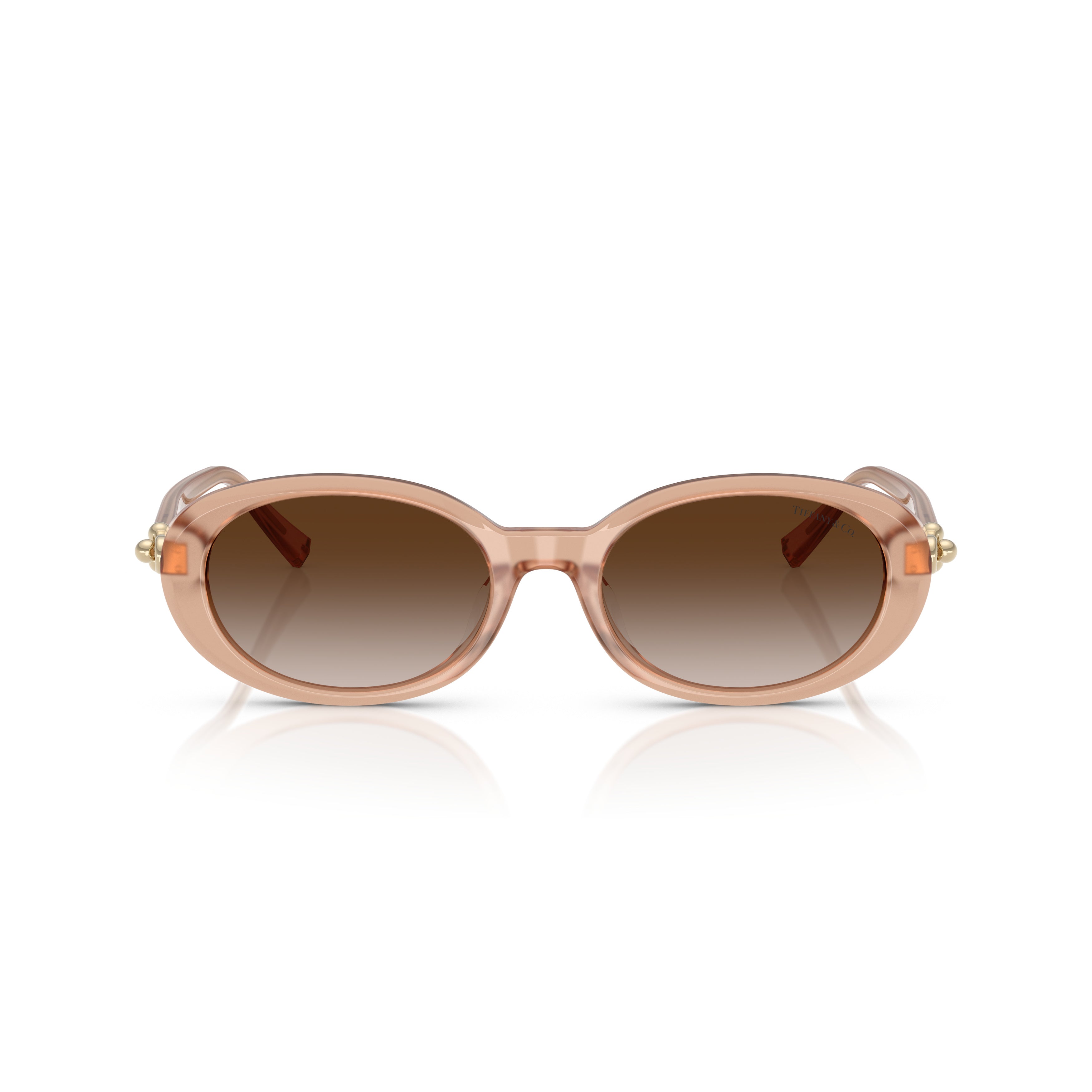 0tf4242d Translucent Acetate Oval Sunglasses