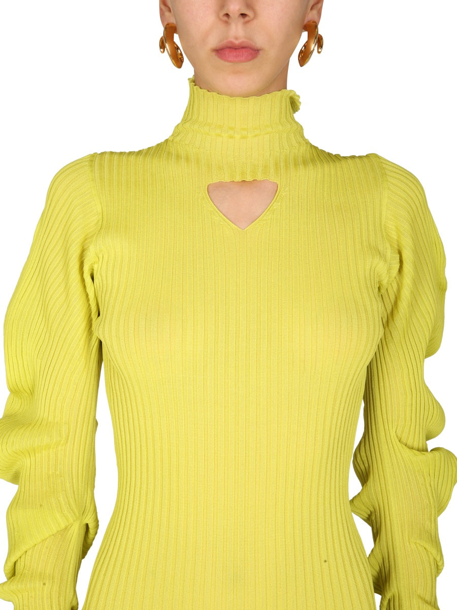 Polo Neck Silk Dress with Ruched Sleeves