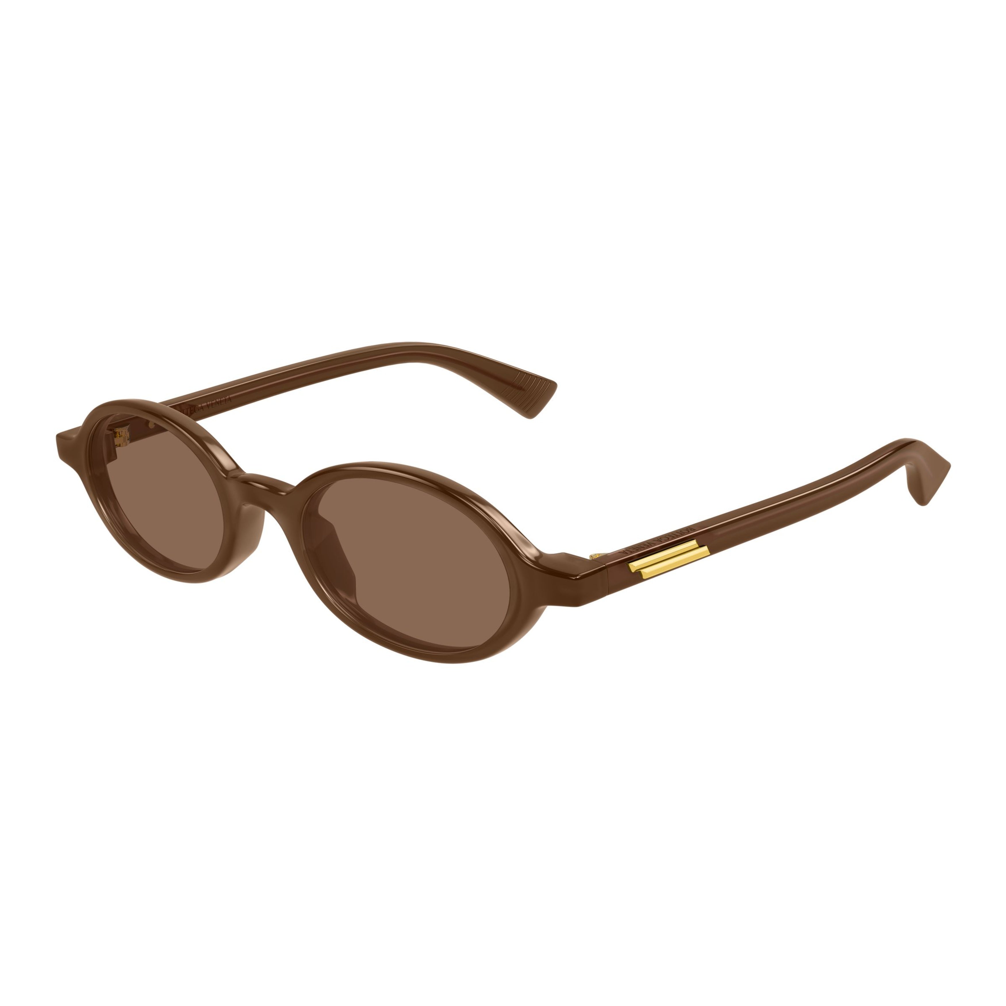 Bv1388s Rounded Brown Acetate Sunglasses