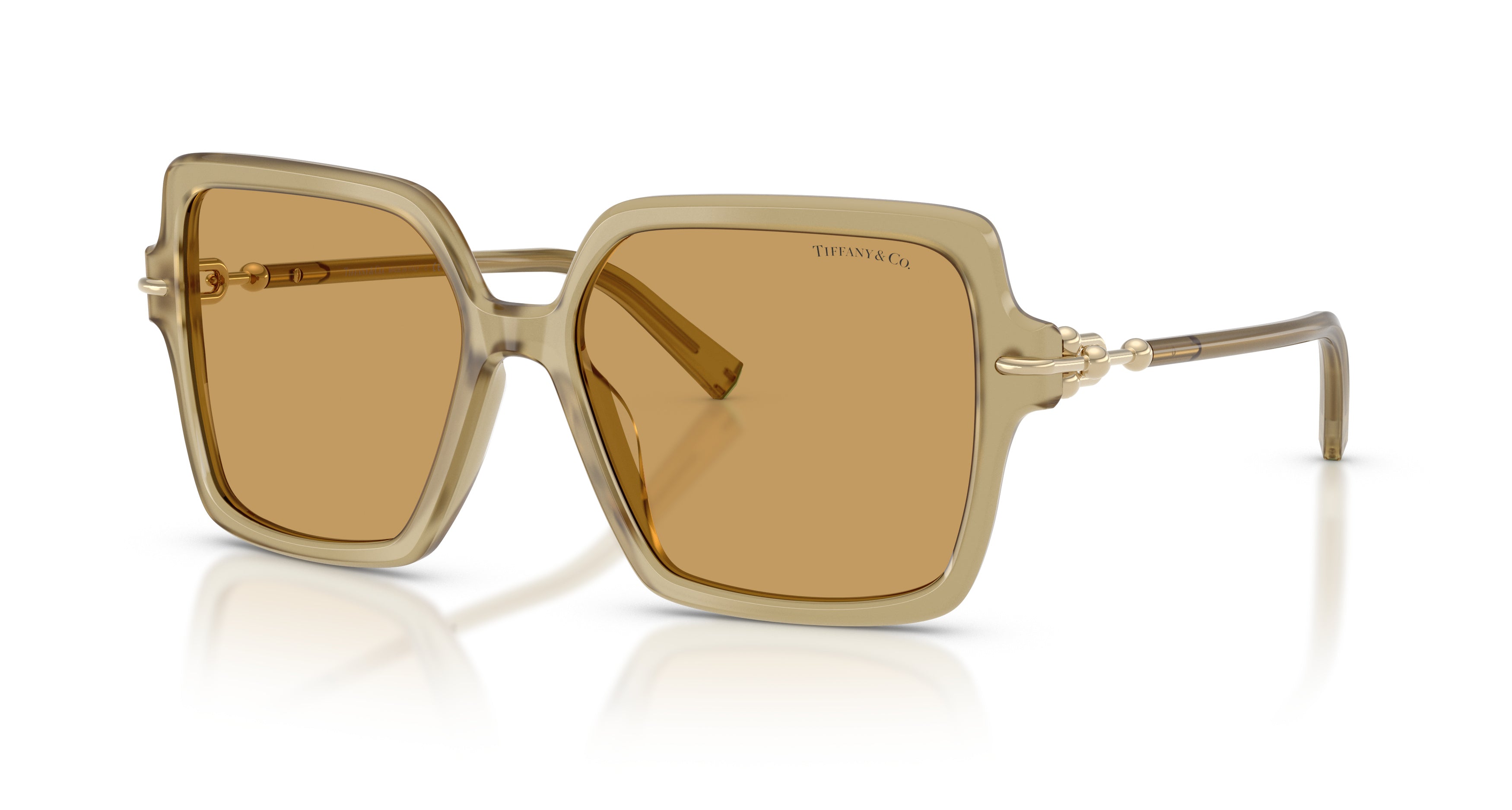 0tf4260u Translucent Beige Acetate Sunglasses