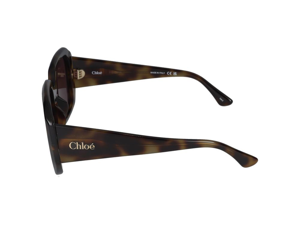 Sunglasses Chloé CH0300S 002 Havana Havana Violet 54/20/140