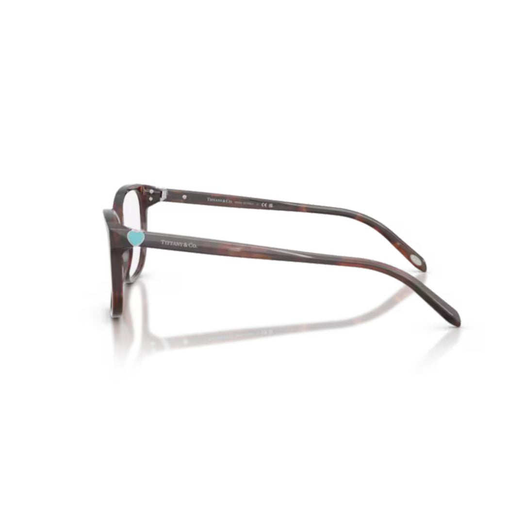 0tf2097 Rectangular Acetate Frame Eyeglasses