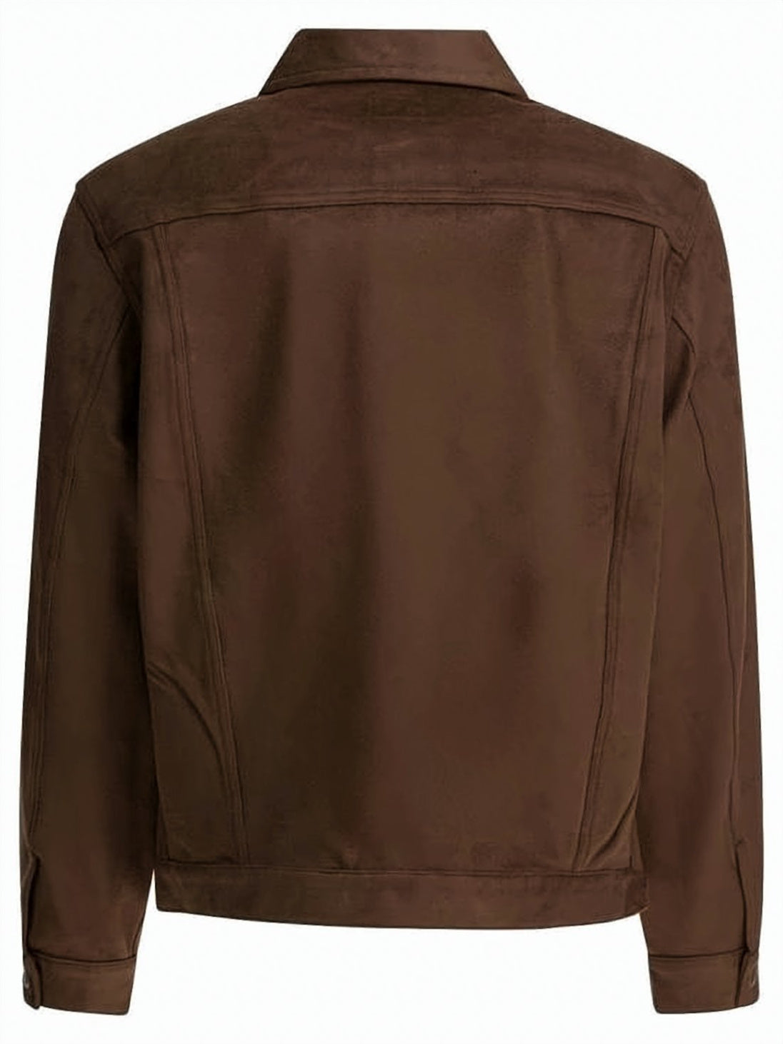 Cropped Structured Jacket with Classic Collar