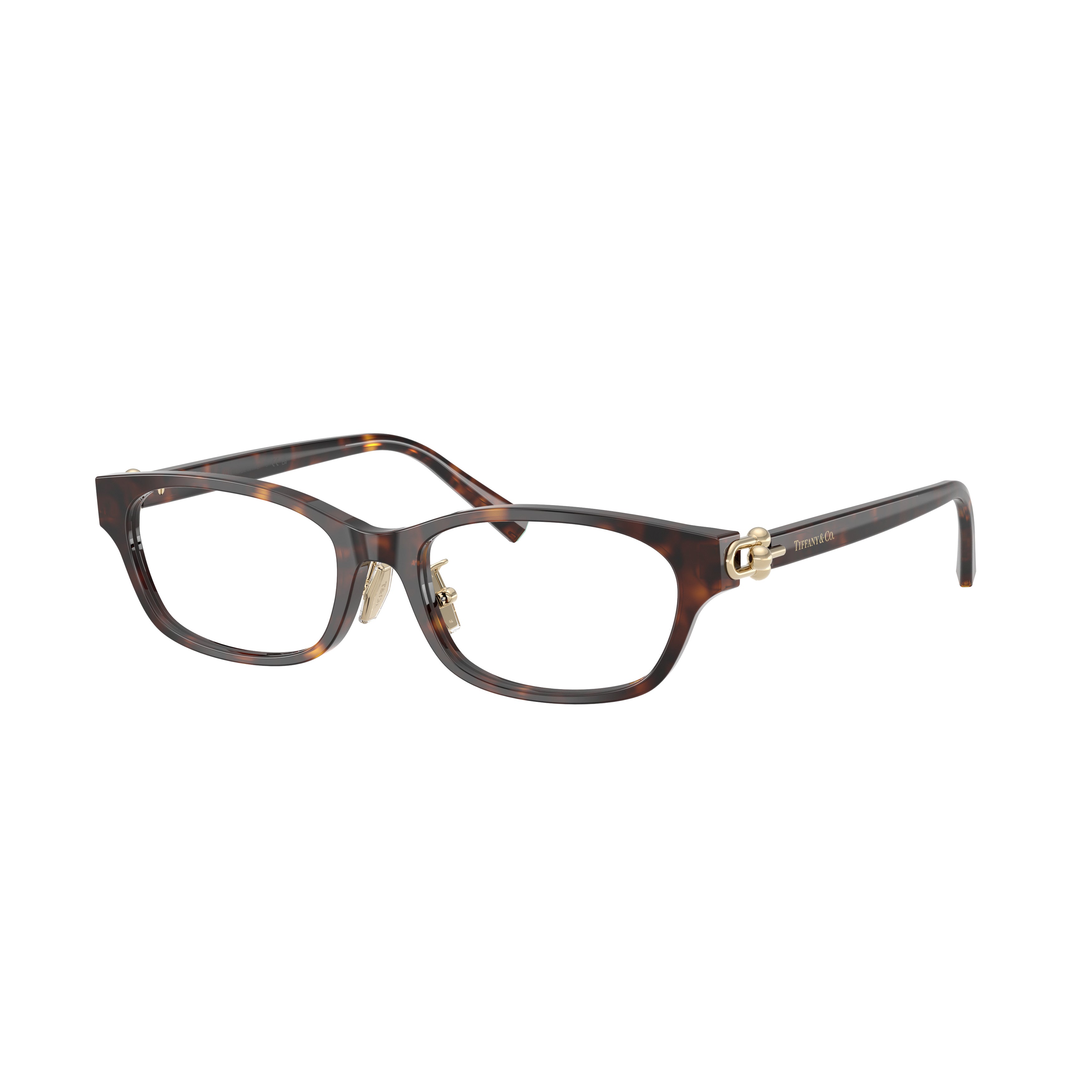 Black Acetate Rectangular Eyeglasses With Gold Accents