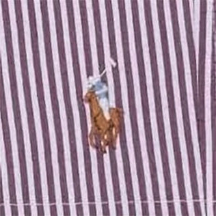 Classic Striped Swim Shorts