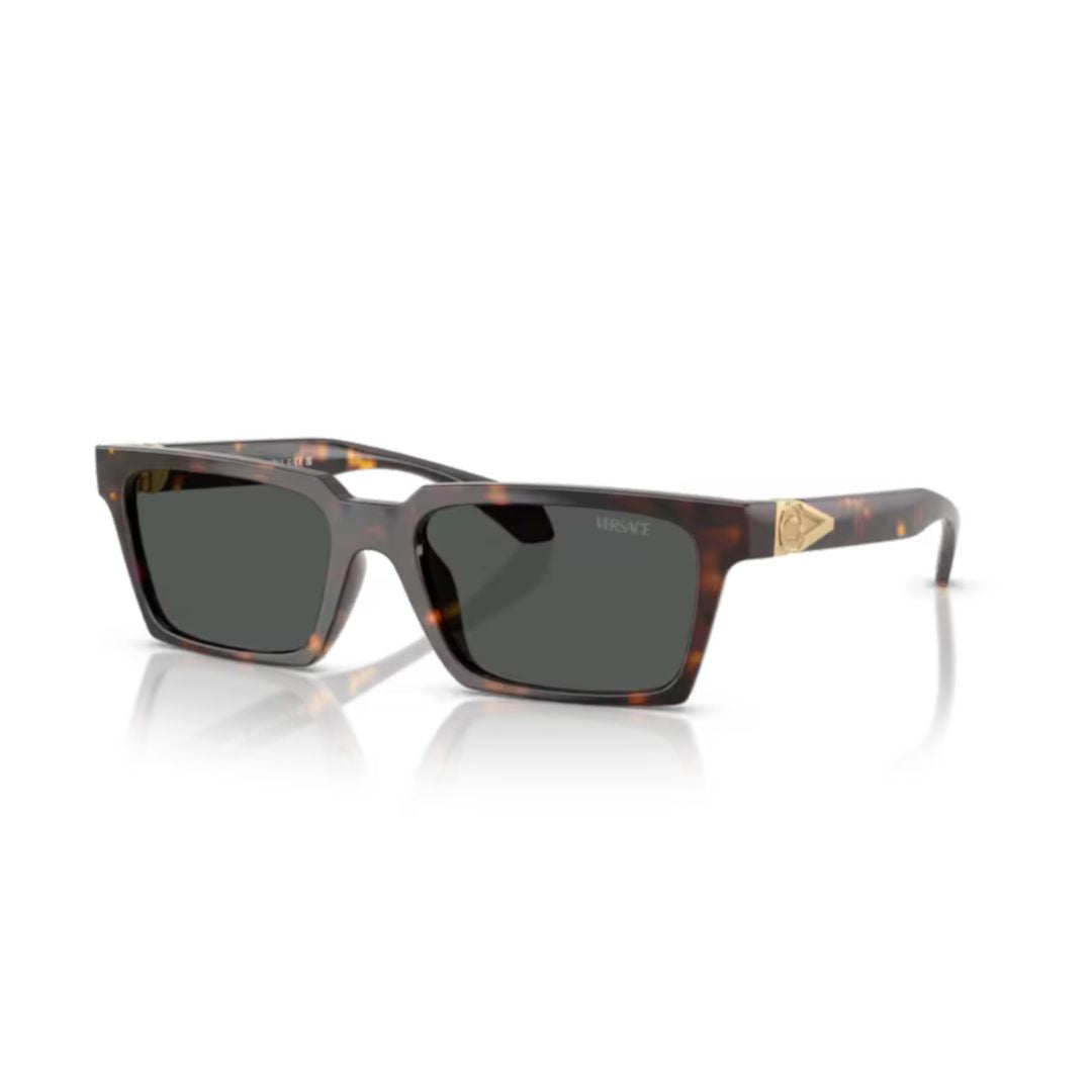 0ve4490u Tortoiseshell Frame Sunglasses