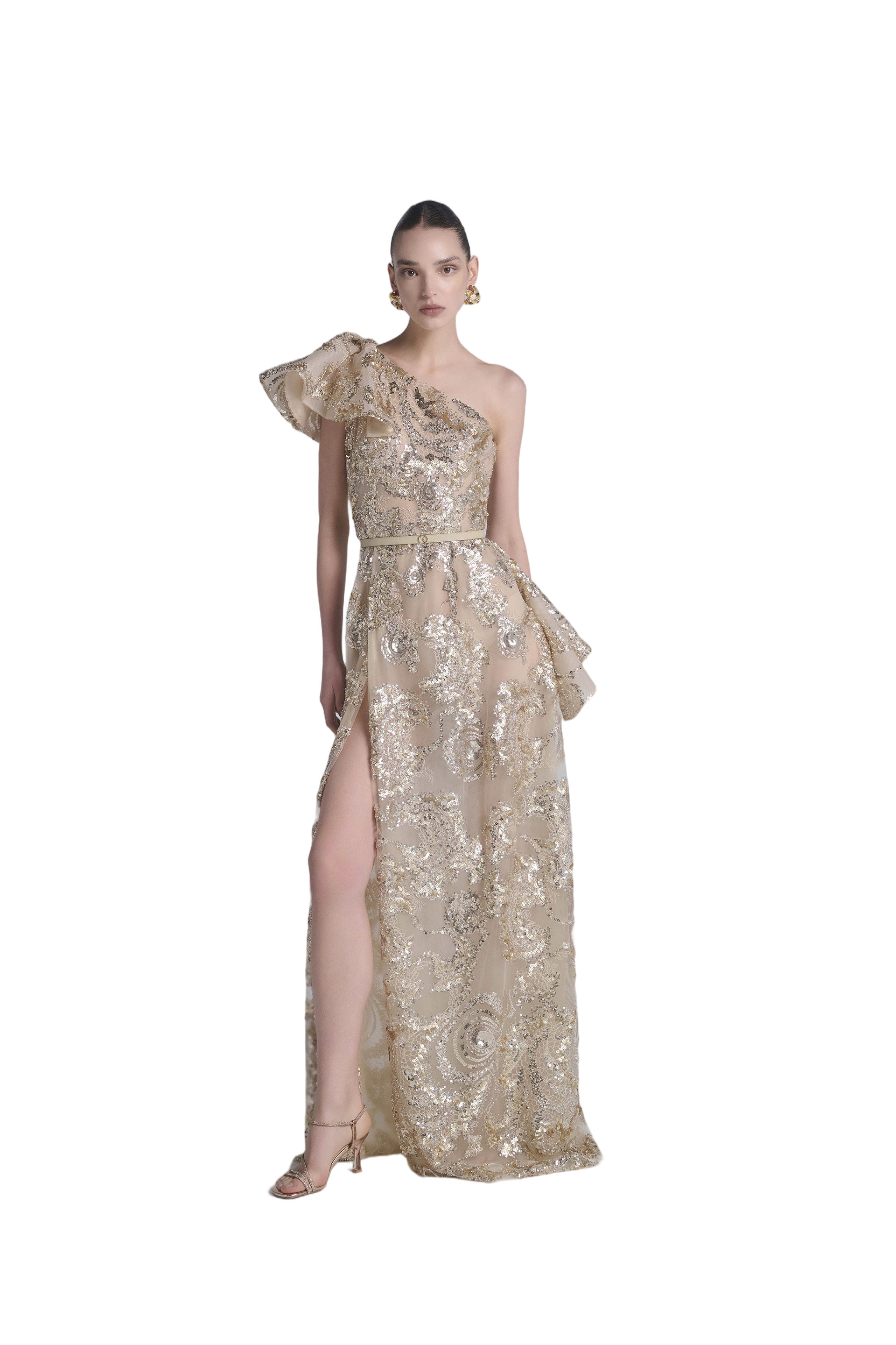 Ruffle Embroidered Long Dress