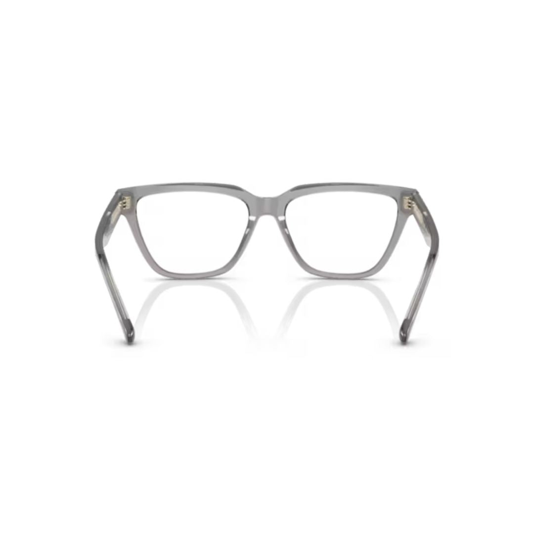 3208 Vista Translucent Acetate Sunglasses with Modern Square Design