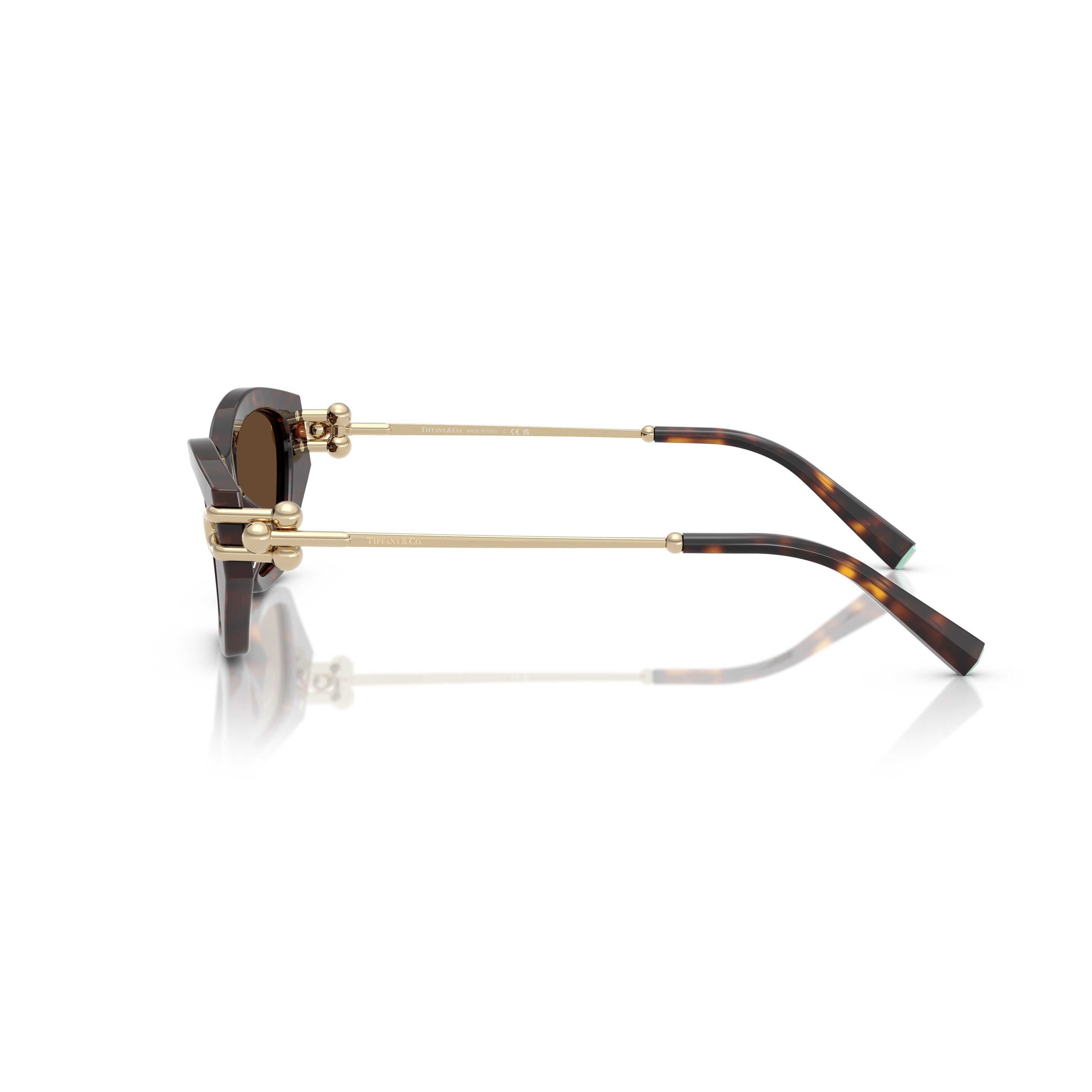 0tf4231u Cat-Eye Sunglasses in Tortoiseshell Acetate