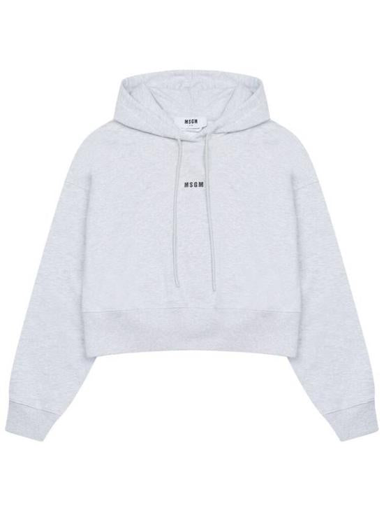 Cropped Grey Hoodie With Drawstring Hood And Minimalistic Logo