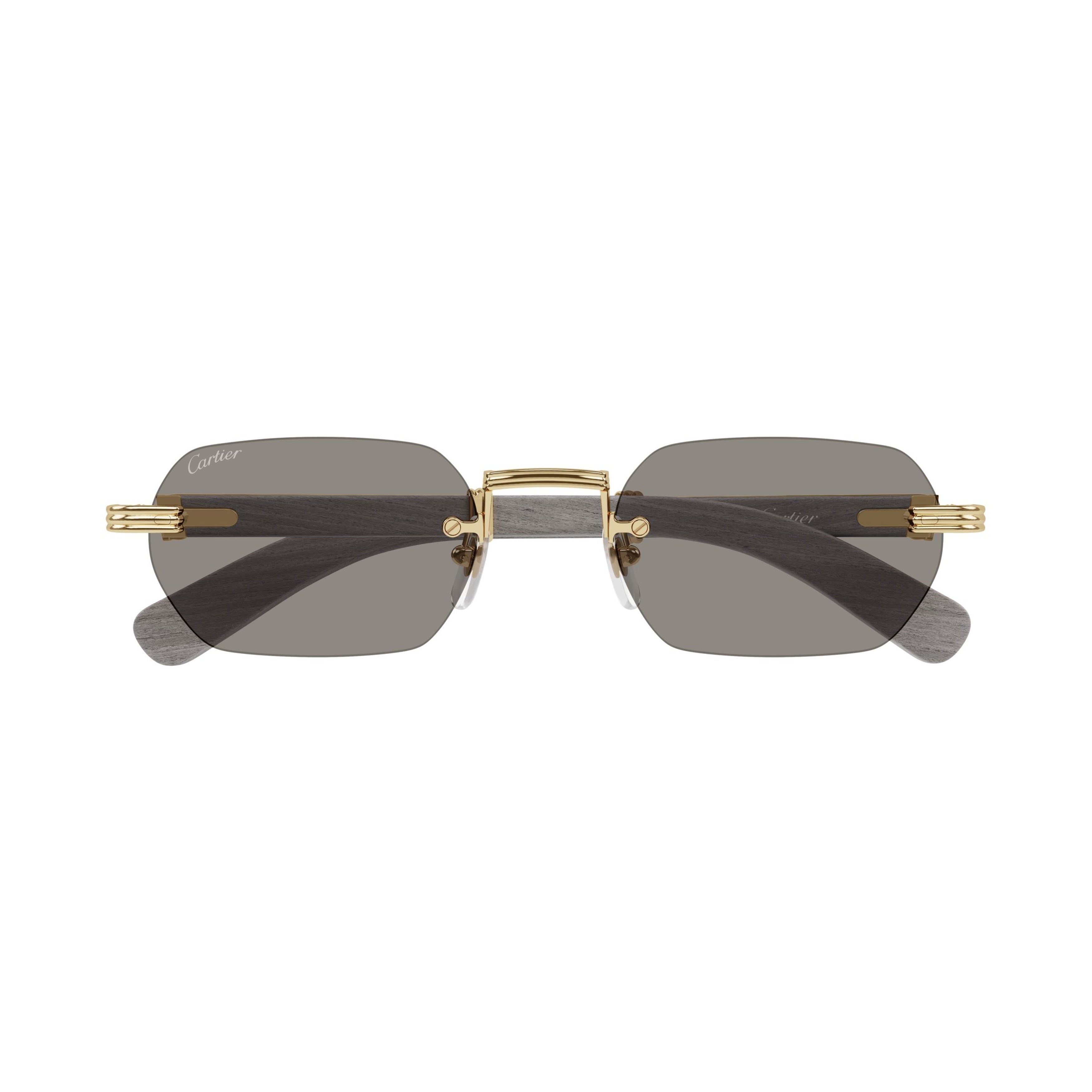 Ct0362s Rimless Rectangular Sunglasses