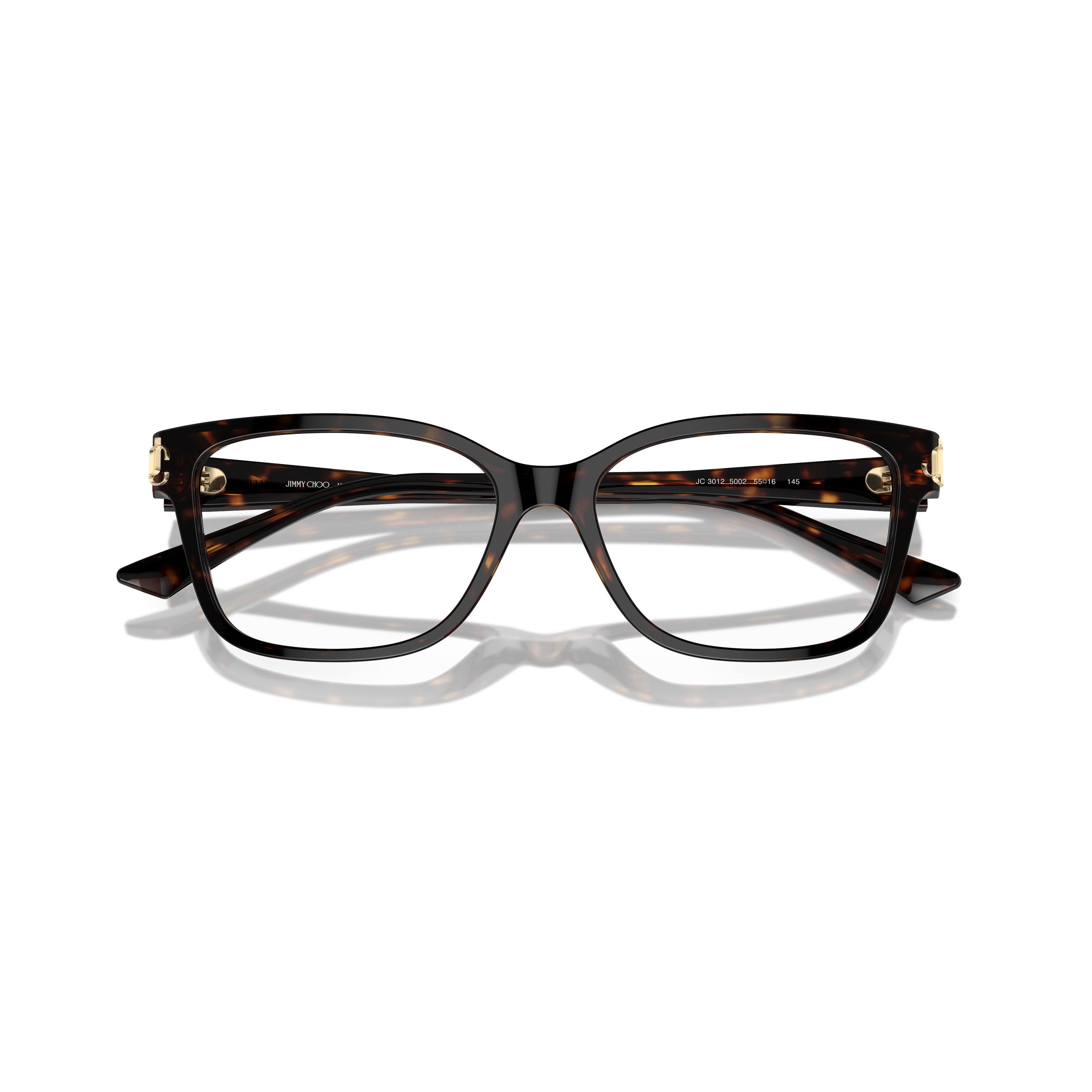 0jc3012 Classic Square Acetate Sunglasses