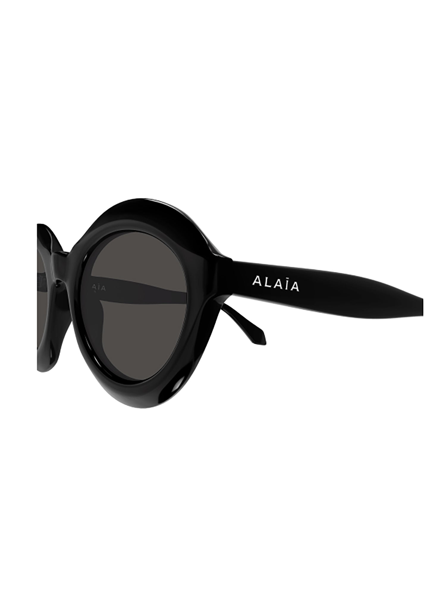 Oval-Shaped Black Sunglasses