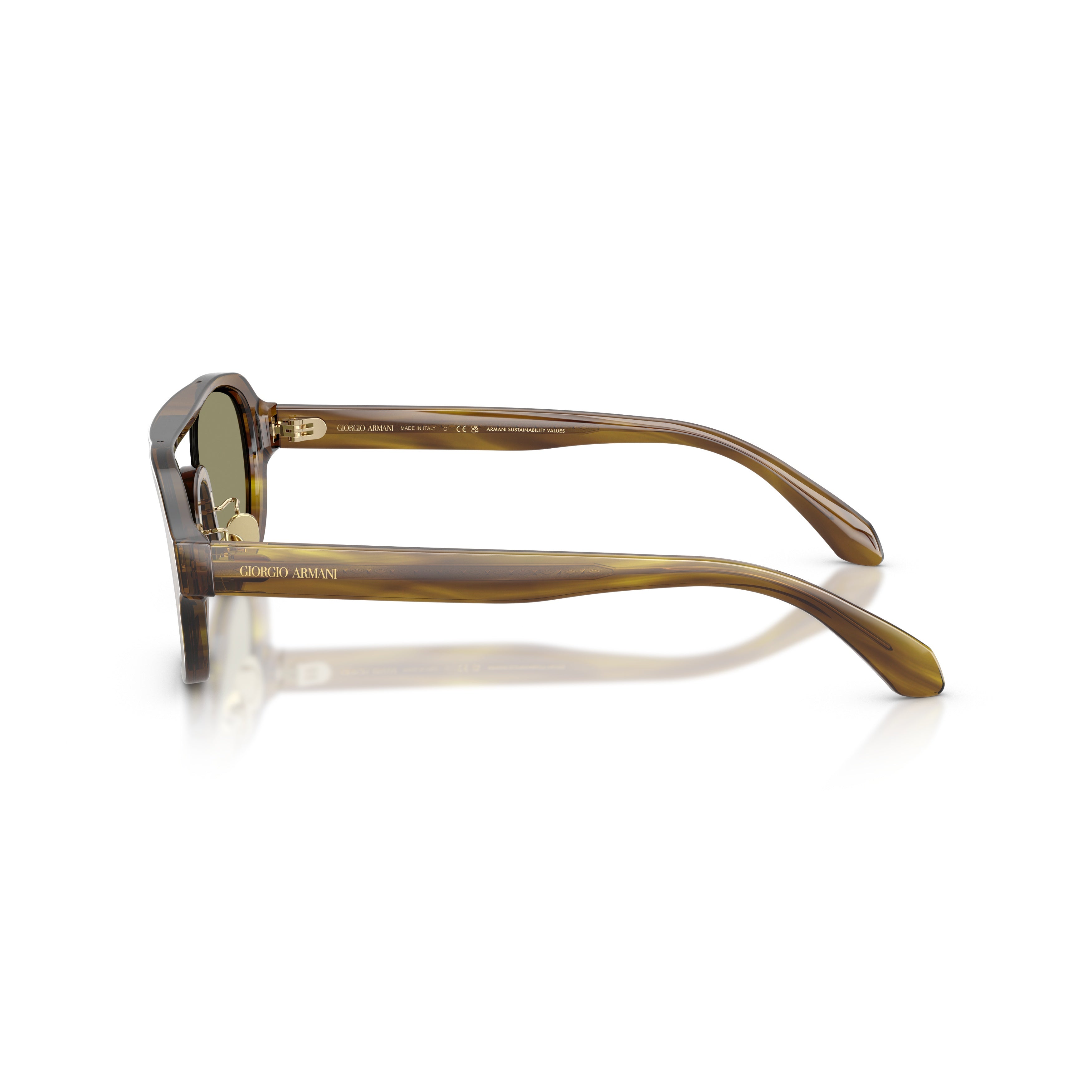 0ar8247 Translucent Brown Acetate Sunglasses with Olive Green Lenses