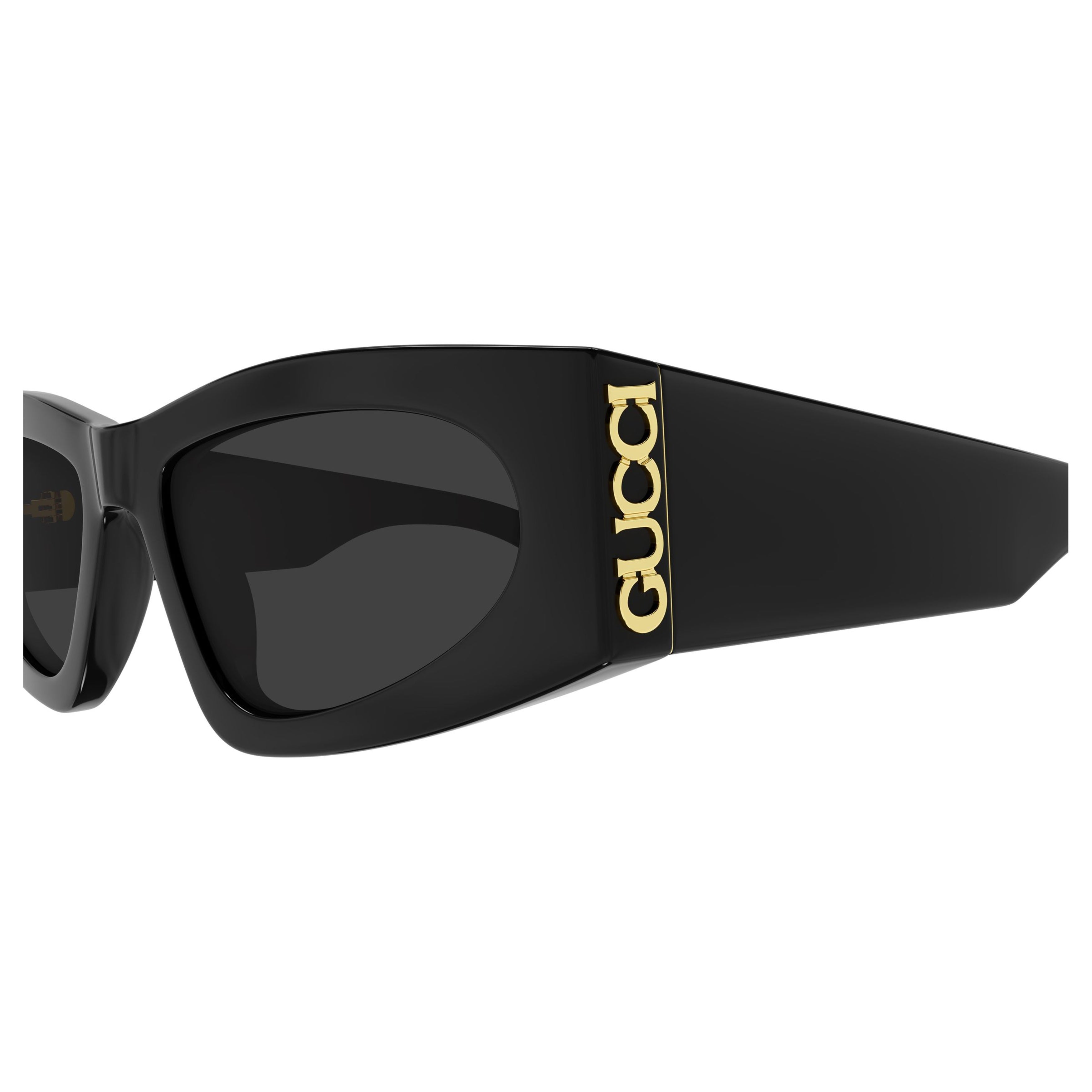 Gg2040s Angular Cat-Eye Sunglasses