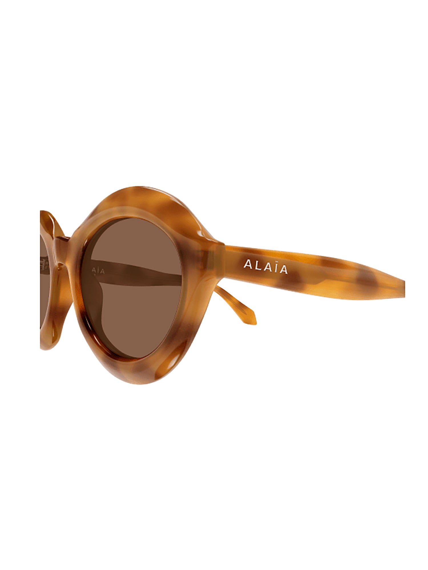 Aa0088S Brown Sunglasses 145Mm Temple