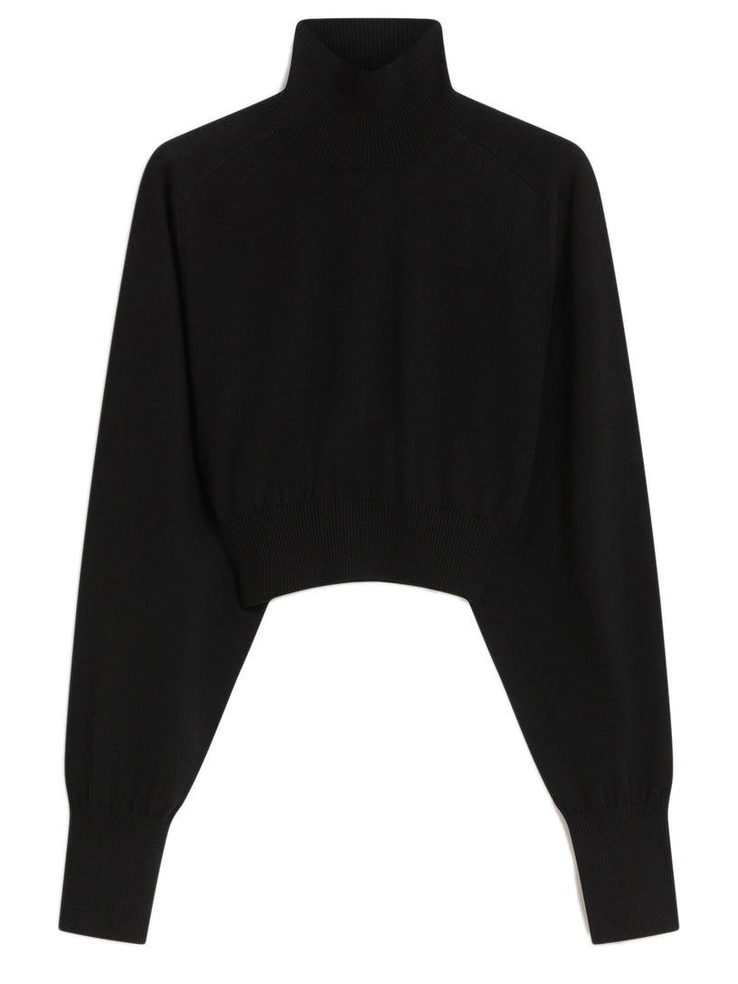 Fitted Black Turtleneck Sweater with Cropped Hem