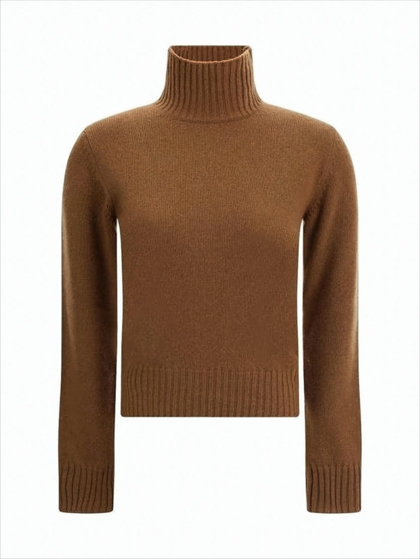 Ribbed High-Neck Cropped Sweater in Rich Brown