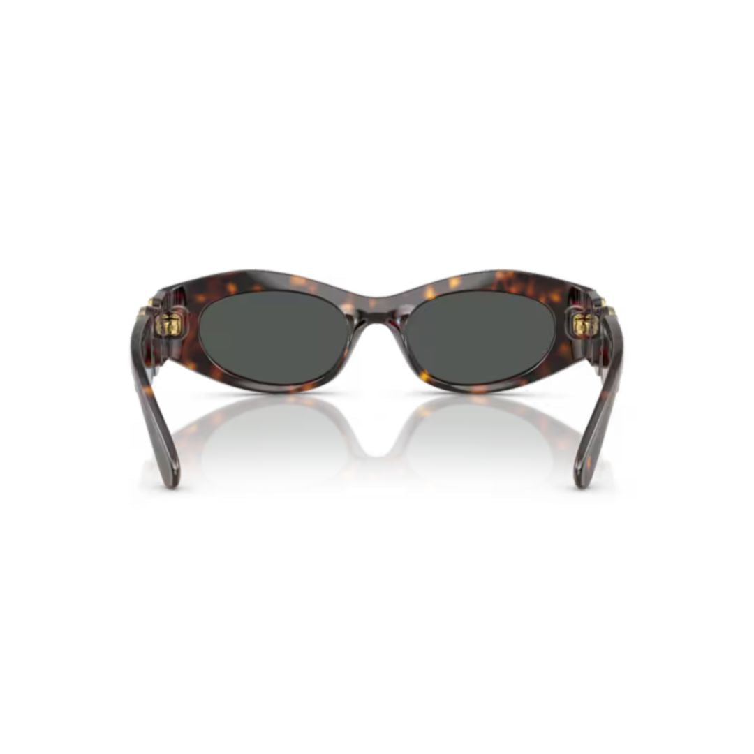 0ve4480u Tortoiseshell-Patterned Oval Sunglasses