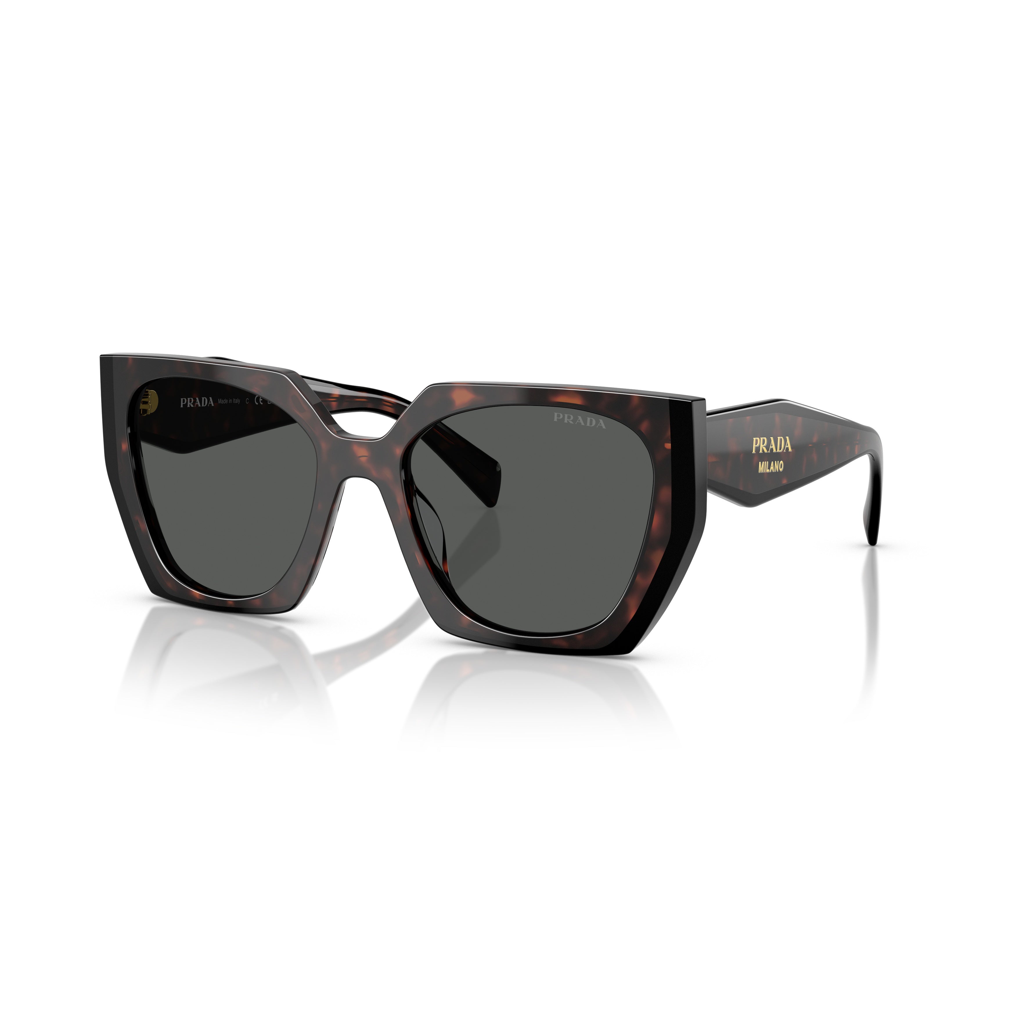 0pr 15ws Oversized Tortoiseshell Acetate Sunglasses