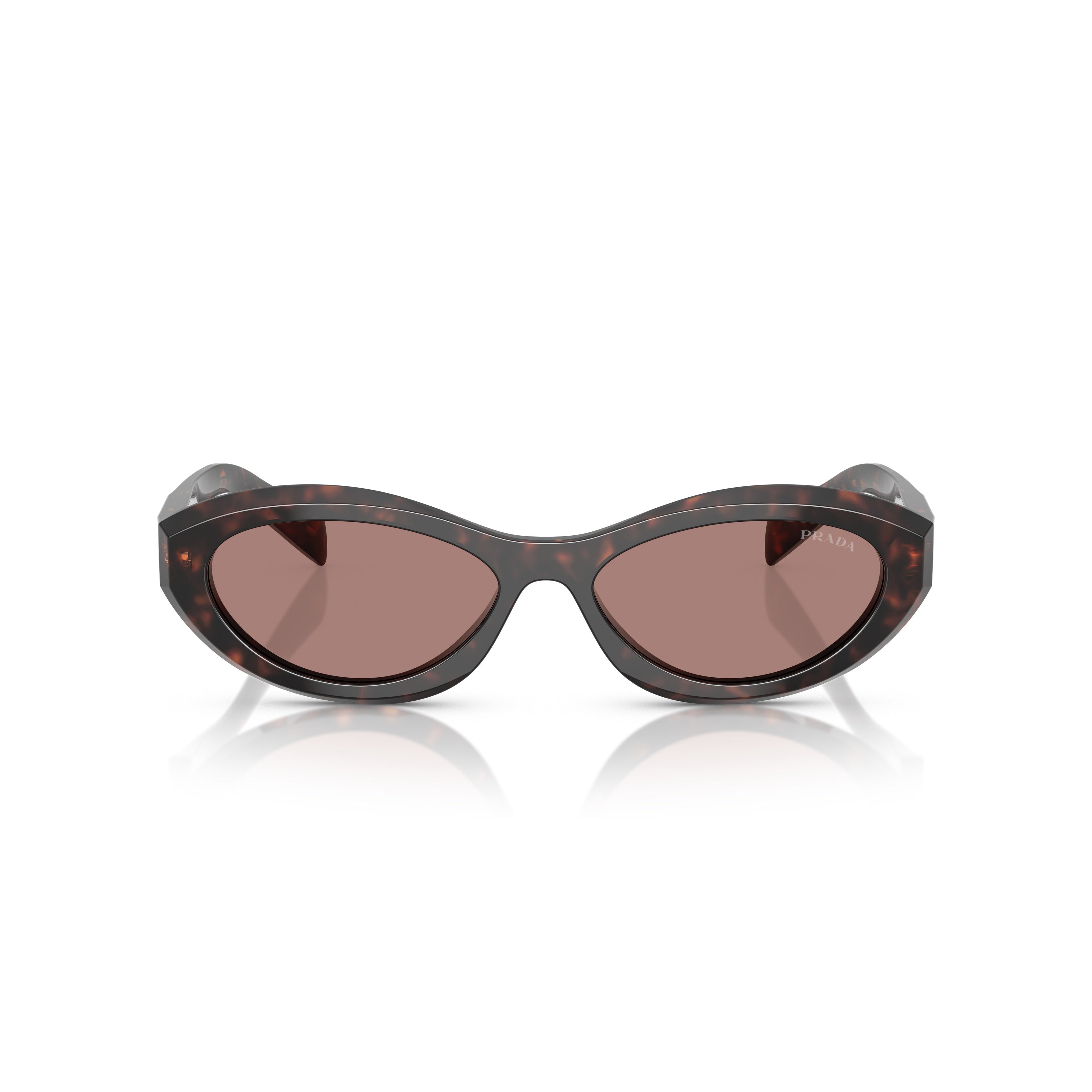0pr 26zs Elongated Oval Tortoiseshell Acetate Sunglasses