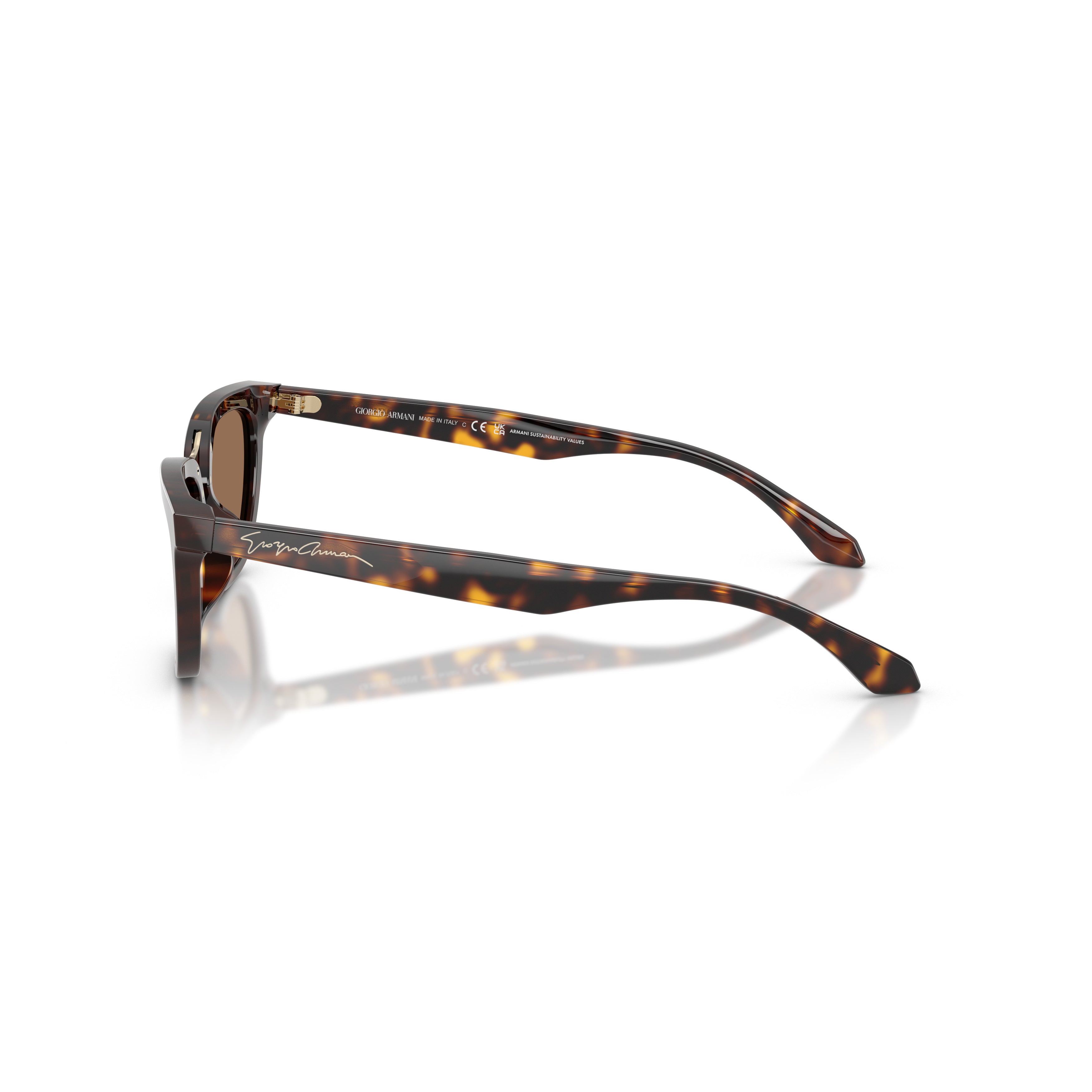 0ar8253u Tortoiseshell Cat-Eye Sunglasses with Gold Bridge