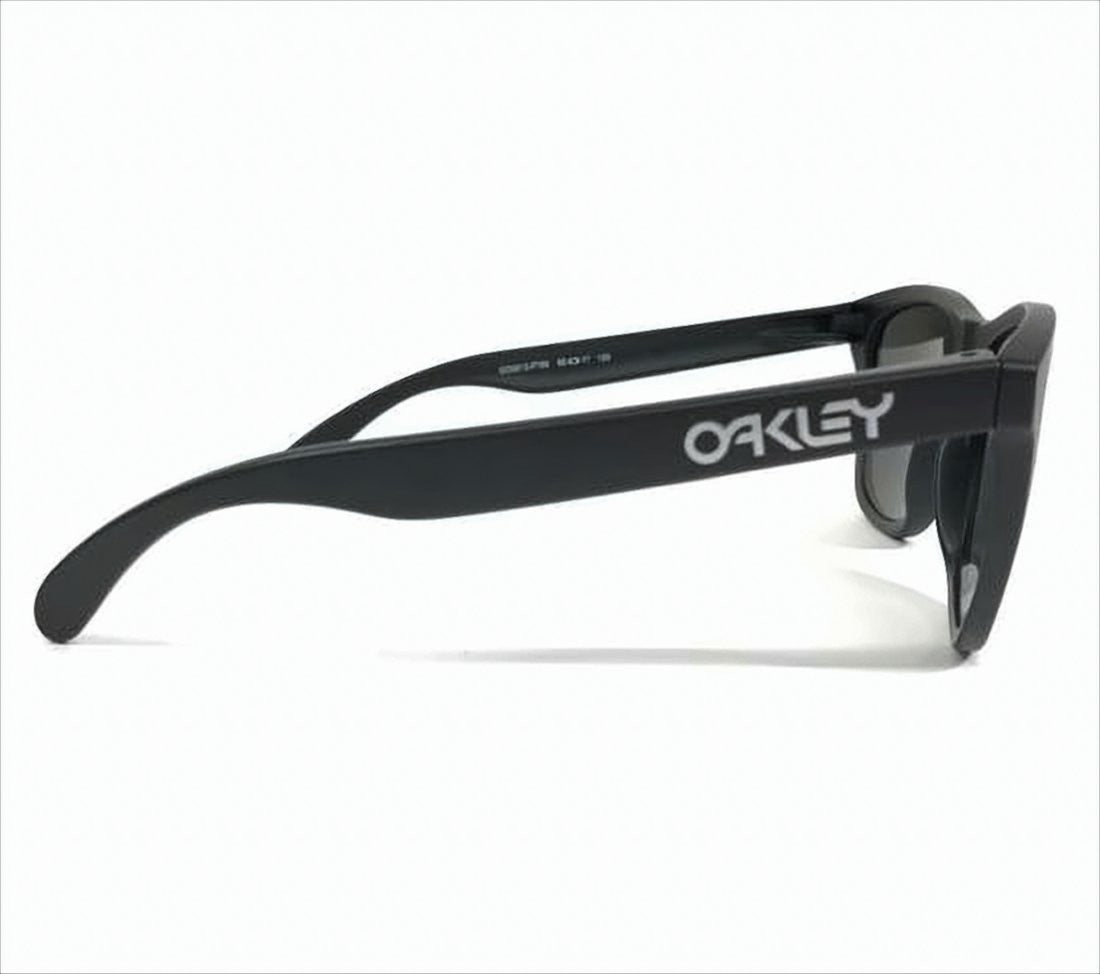 Matte Black Wayfarer-Style Sunglasses