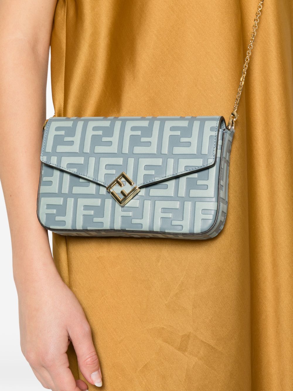 Ff Diamonds Wallet On Chain