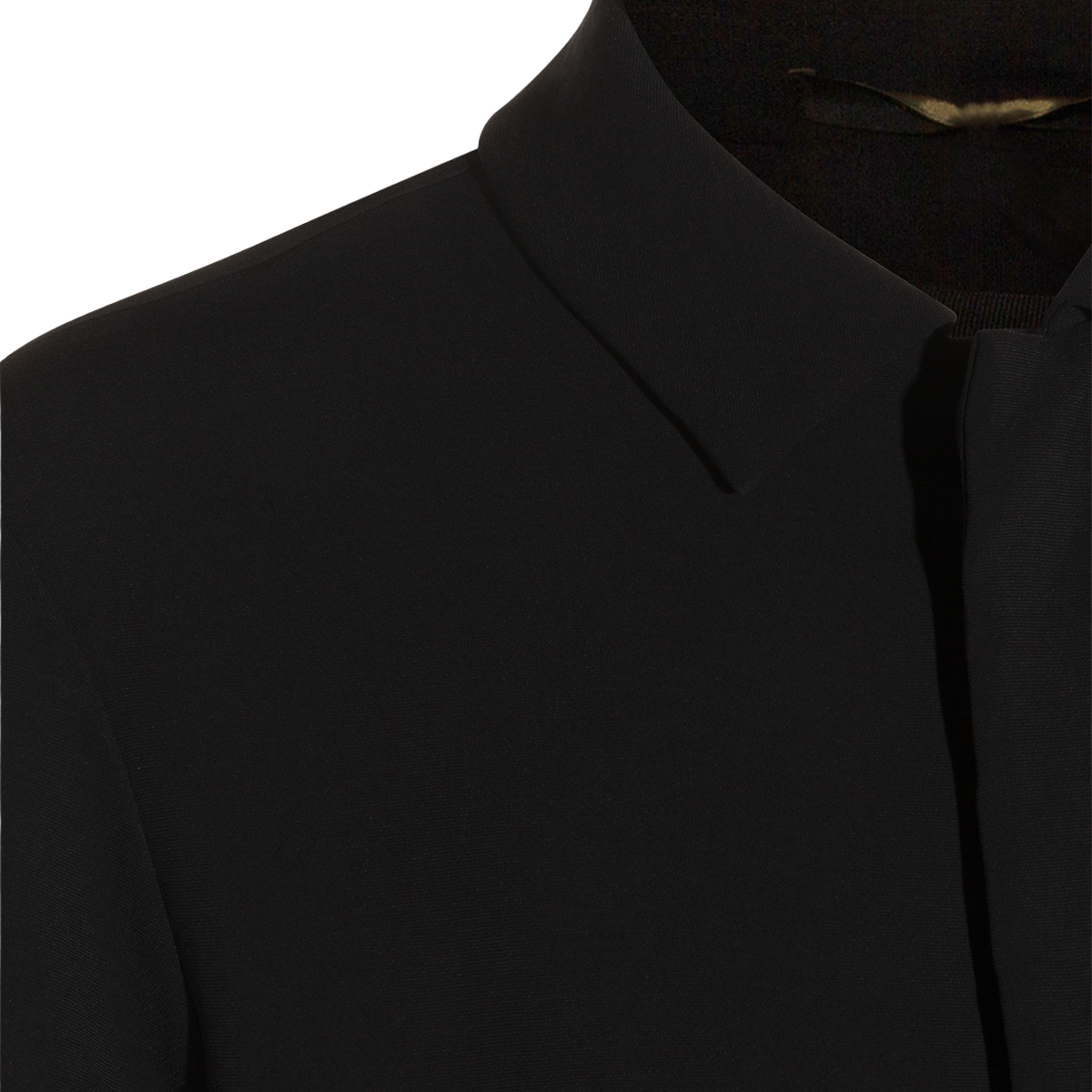 Black Coat With High Collar