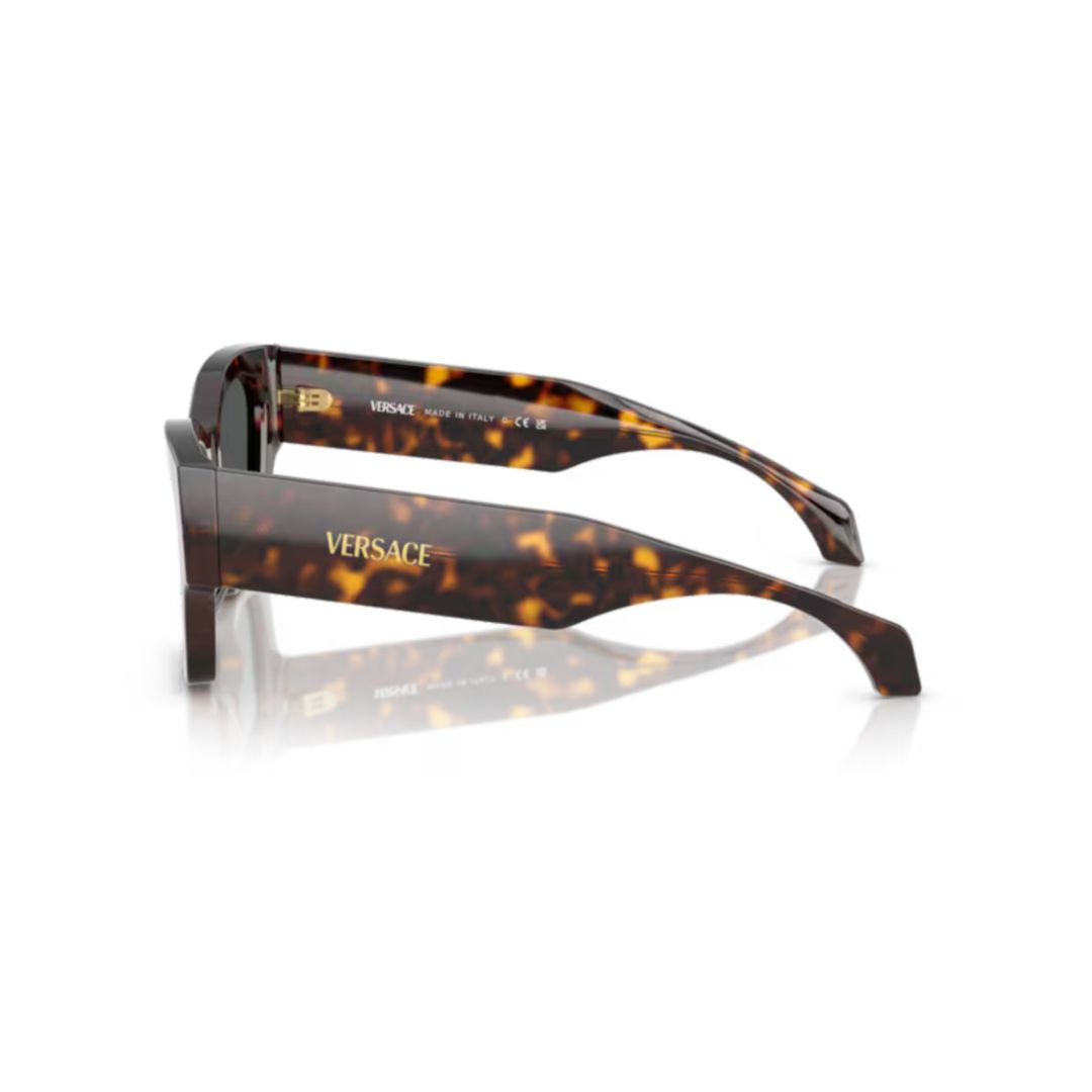 0ve4492u Angular Tortoiseshell Sunglasses