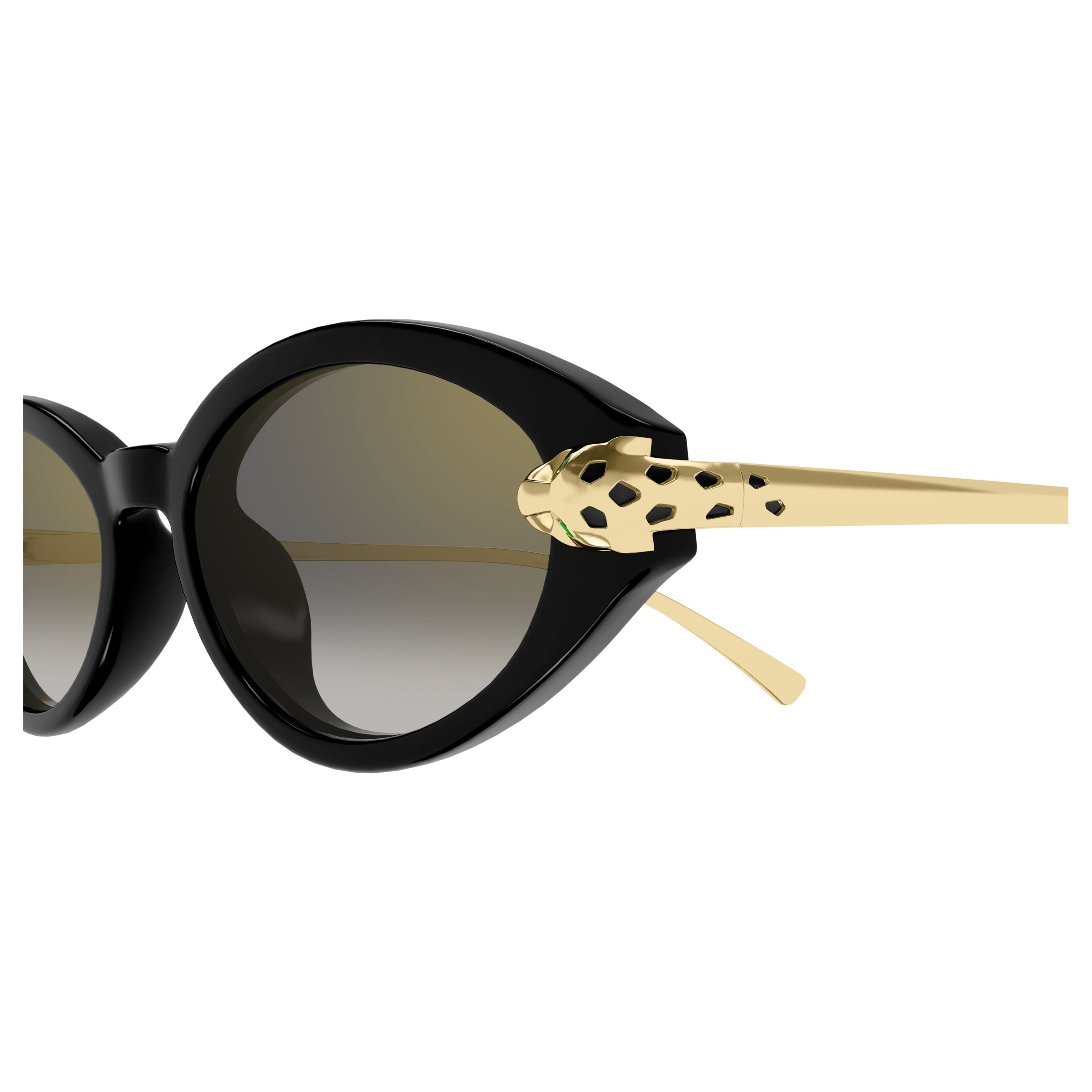Ct0634s Oval-Shaped Black Acetate Sunglasses