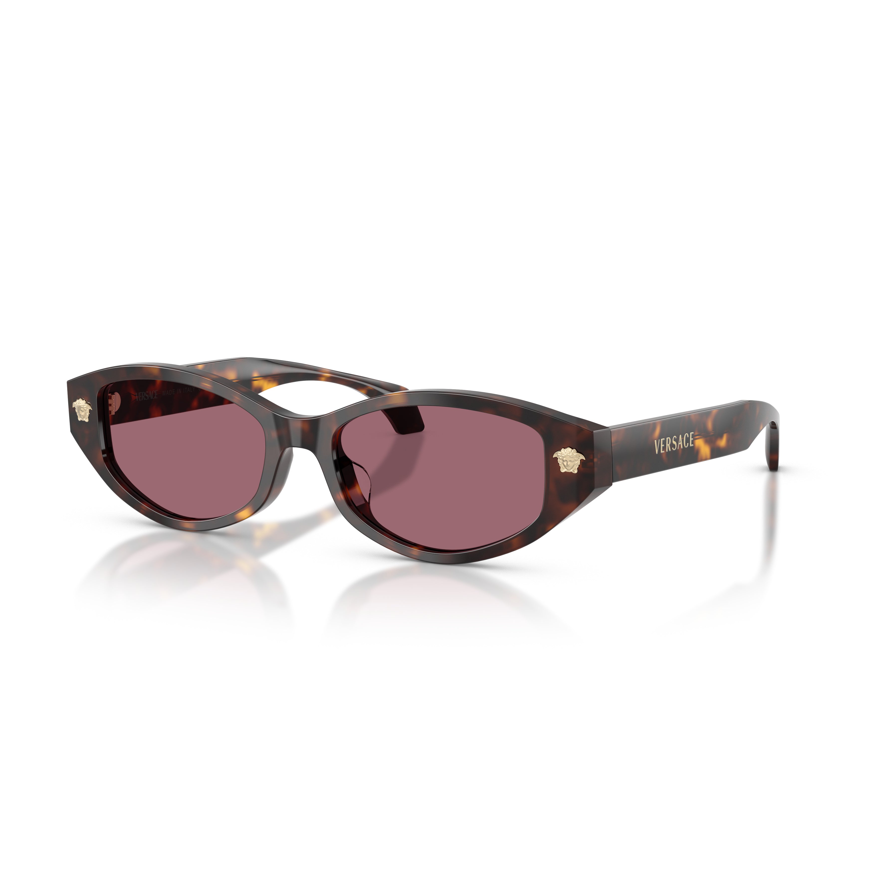 0ve4512d Tortoiseshell Acetate Oval Sunglasses