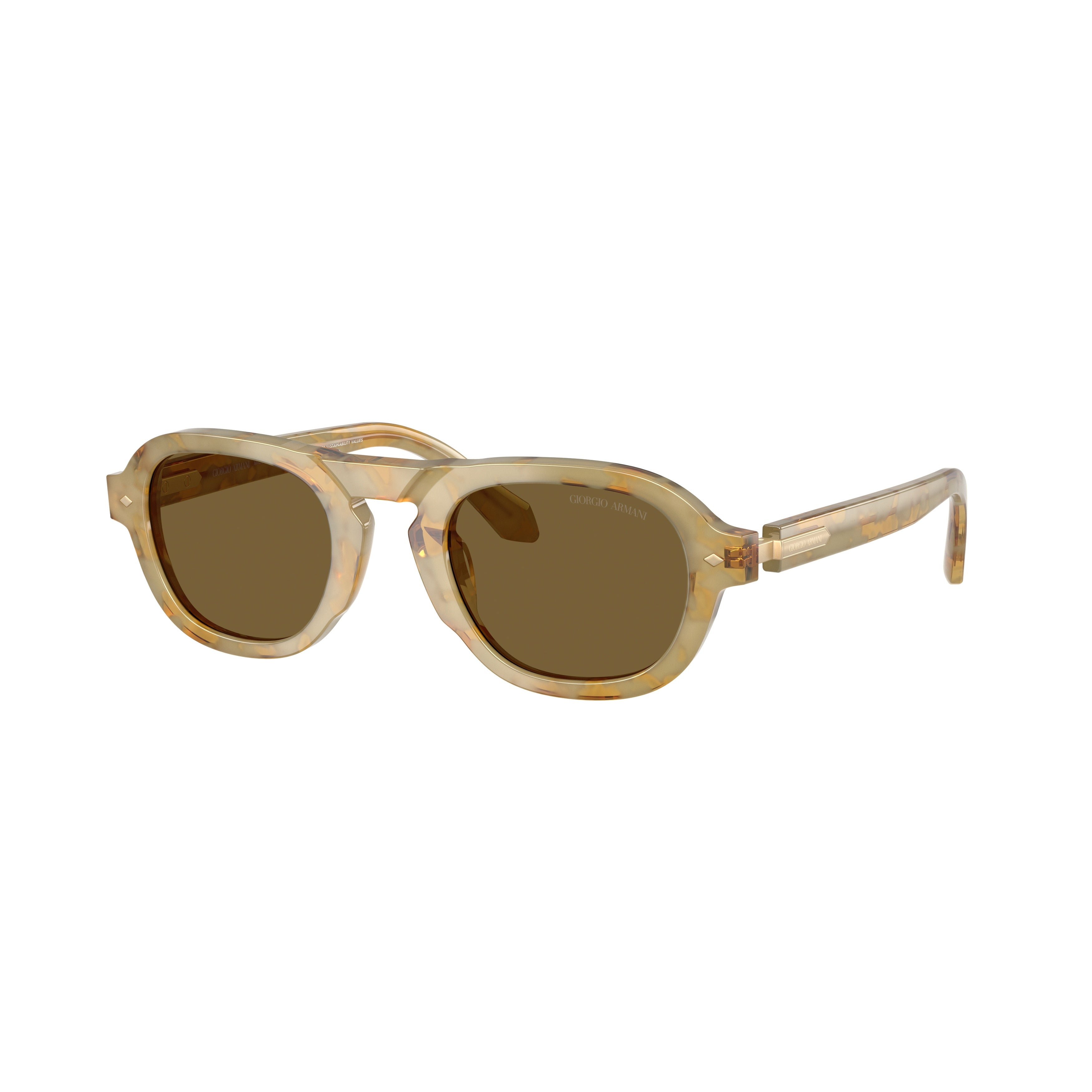 0ar8244 Translucent Acetate Sunglasses with Brown Tinted Lenses