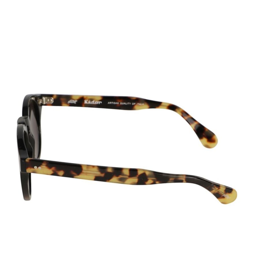 Tony Glossy Black Round Frame Sunglasses with Tortoiseshell Arms