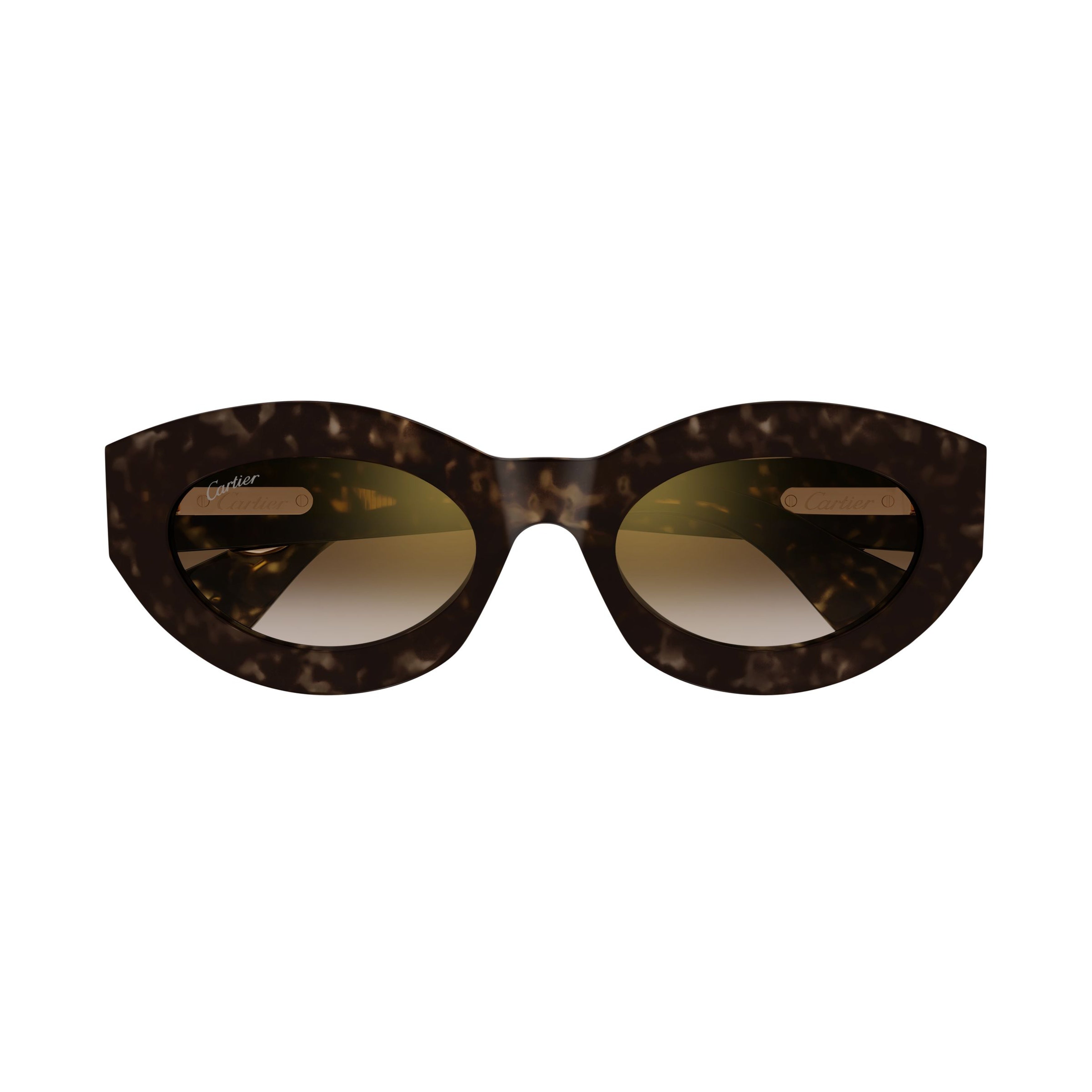Ct0638s Bold Tortoiseshell Cat-Eye Sunglasses