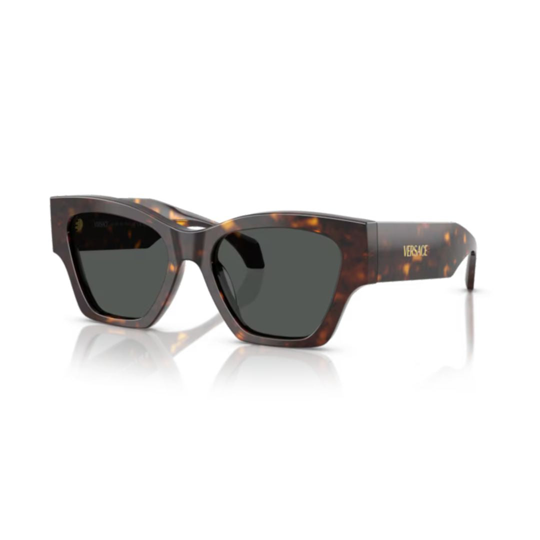 0ve4492u Angular Tortoiseshell Sunglasses