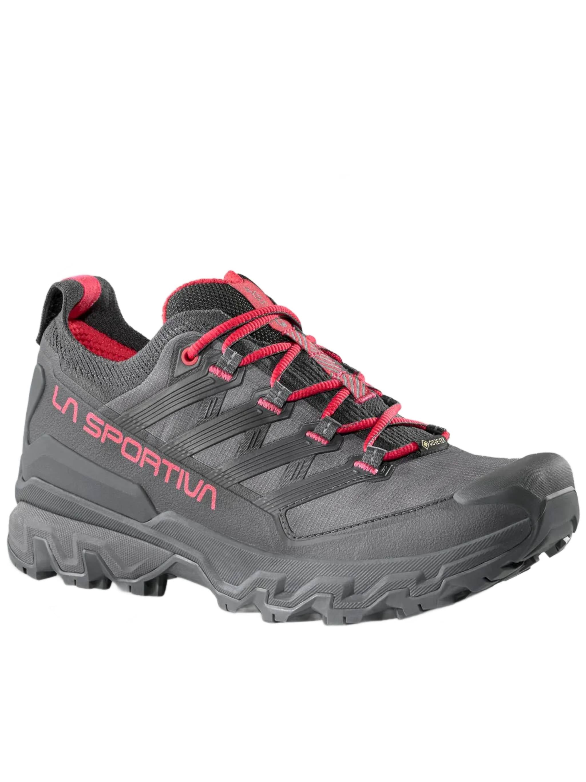 Grey Ultra Raptor 3 GTX Trail Shoe