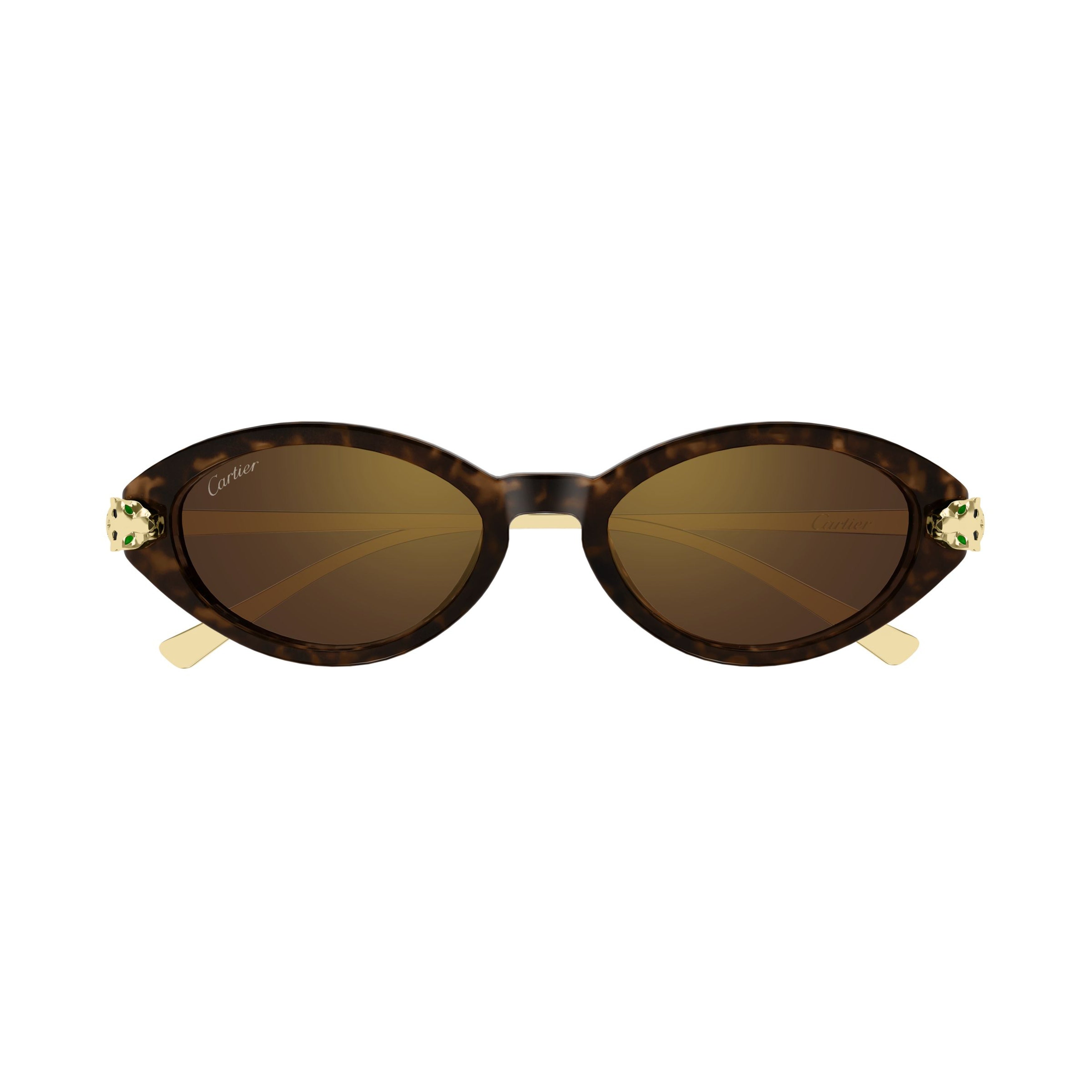 Ct0634s Tortoiseshell Oval Sunglasses