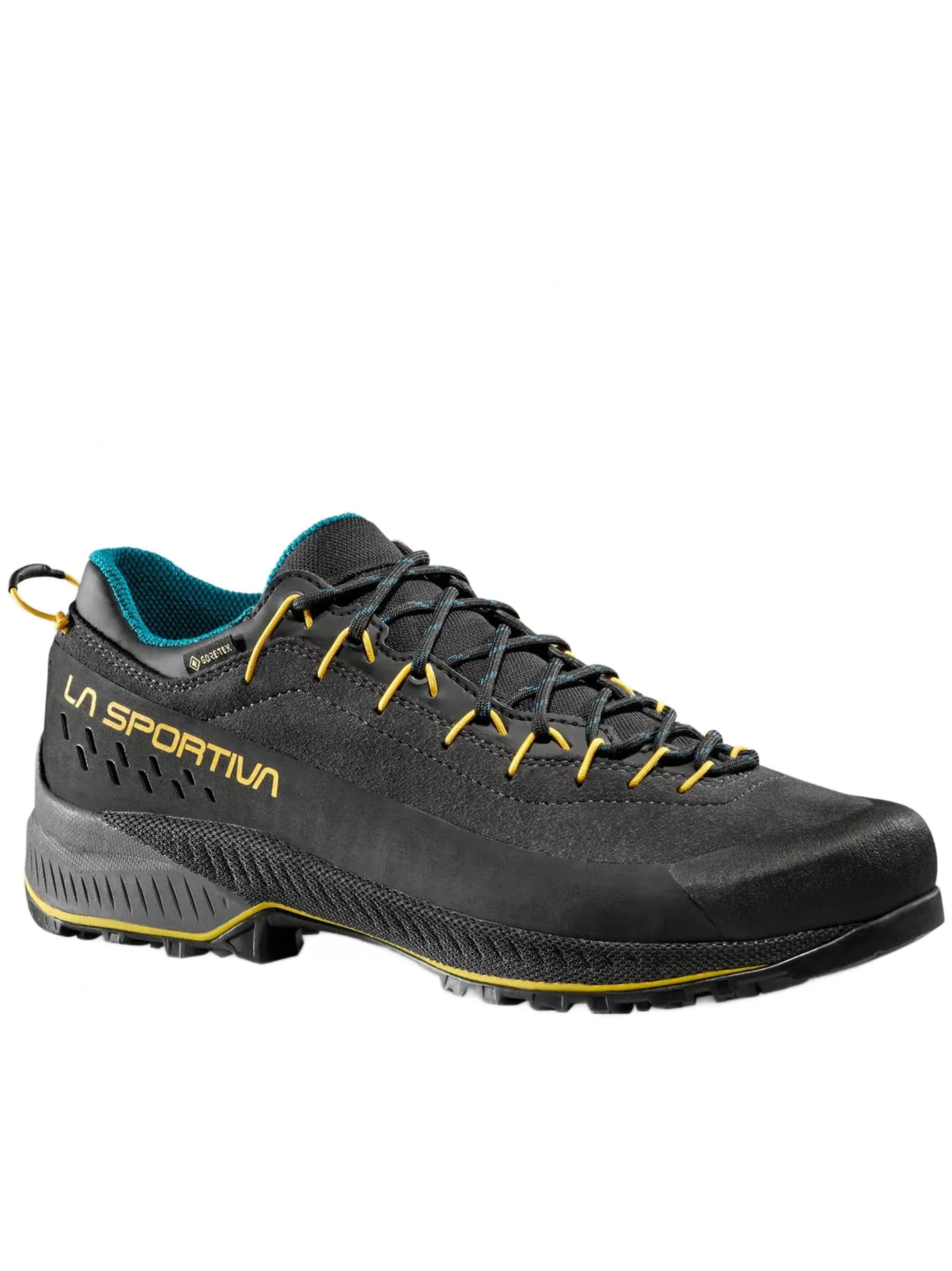 Black Tx4 Evo GTX Technical Shoes