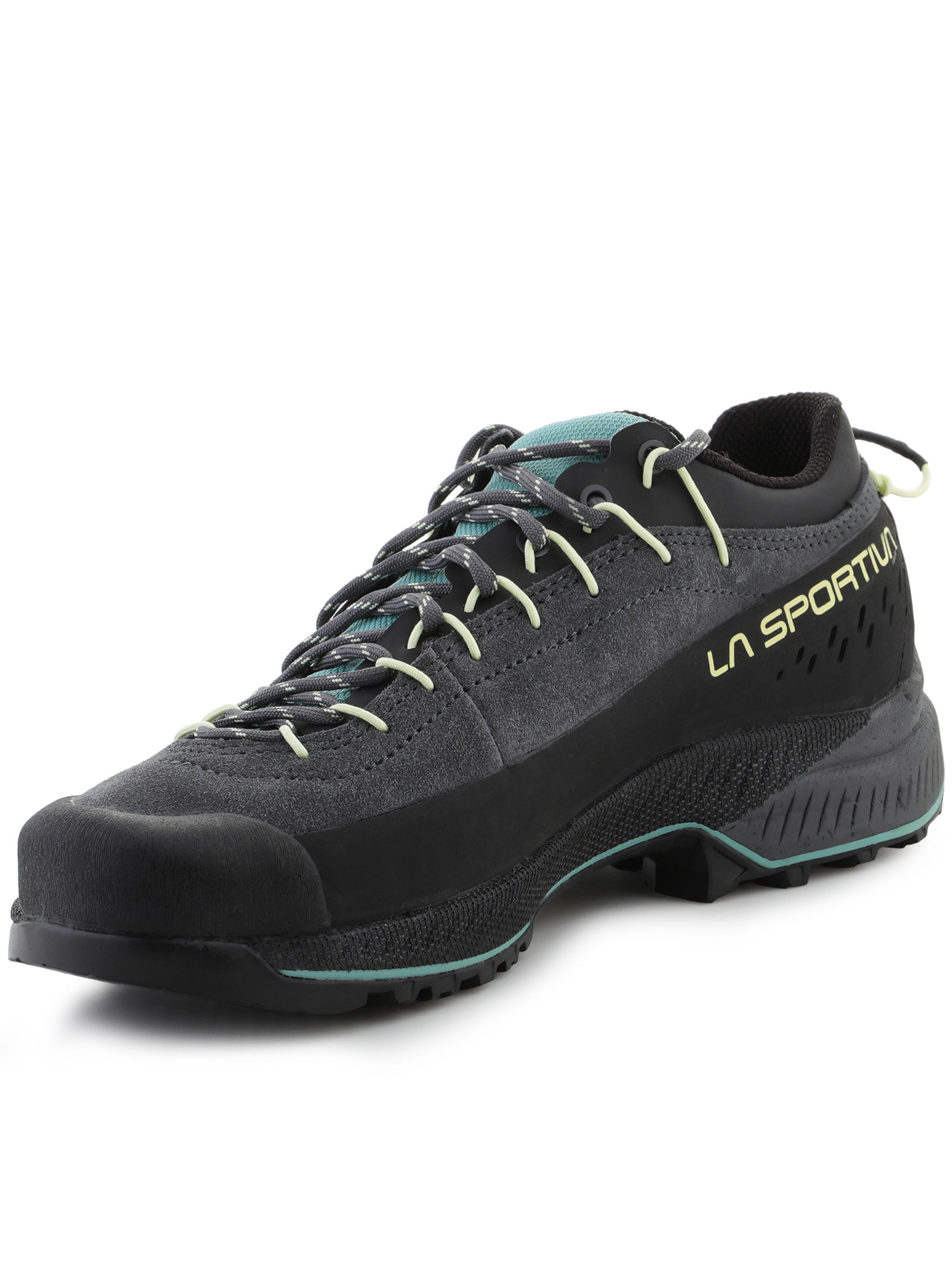 Dark Grey TX4 Evo Woman Low-Profile Sneakers