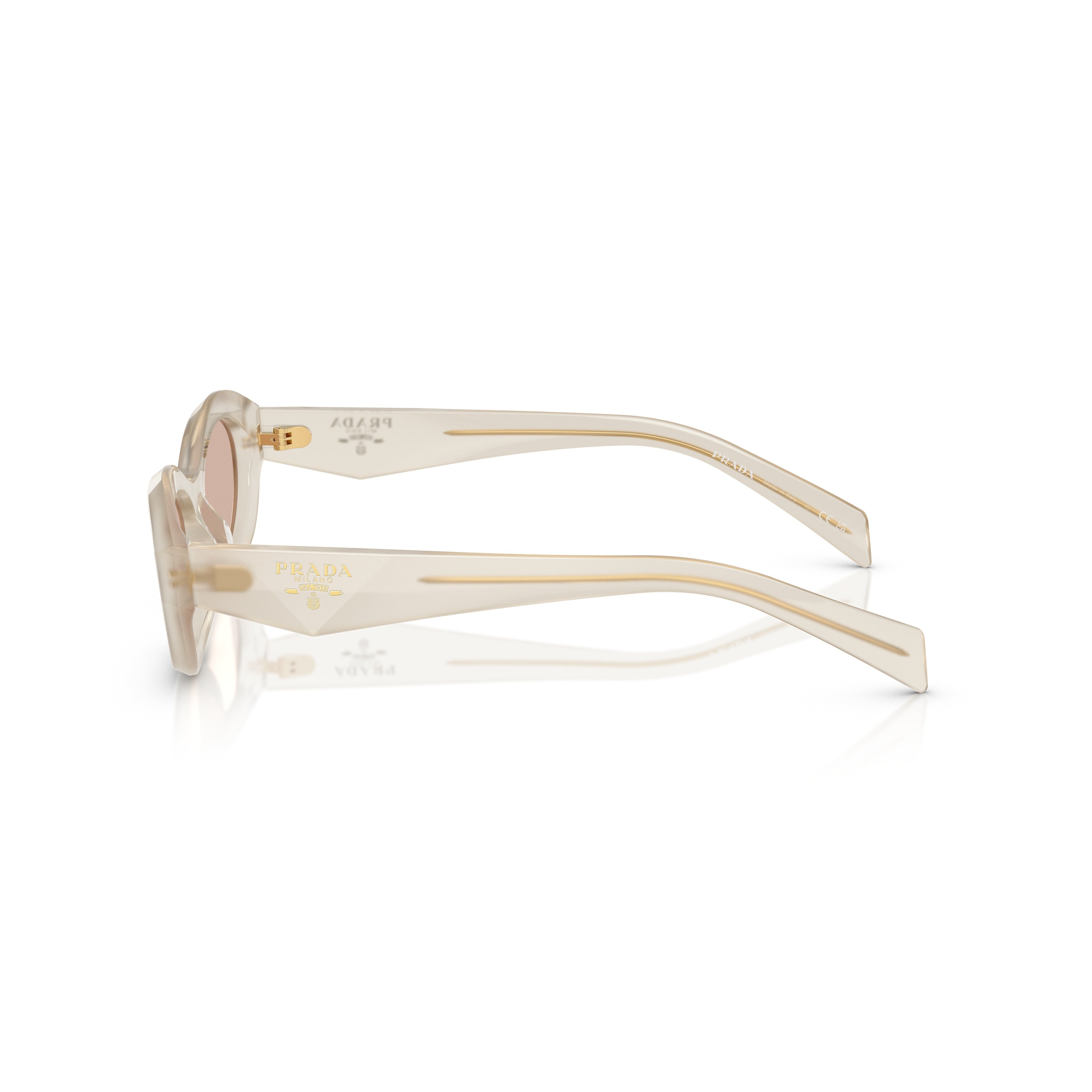 0pr 26zs Translucent Acetate Sunglasses