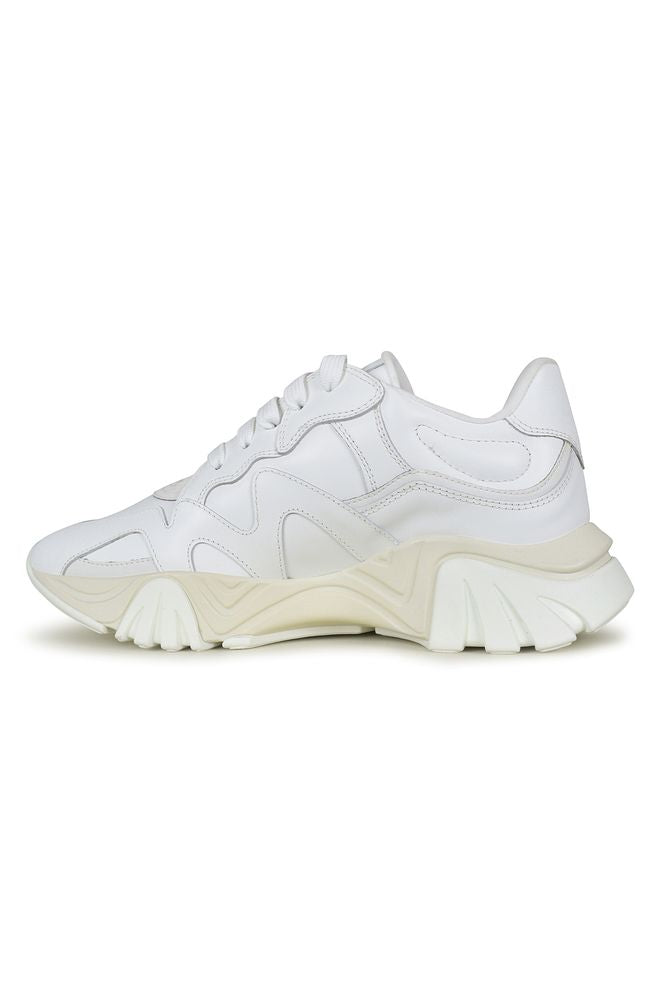 Squalo Sneakers