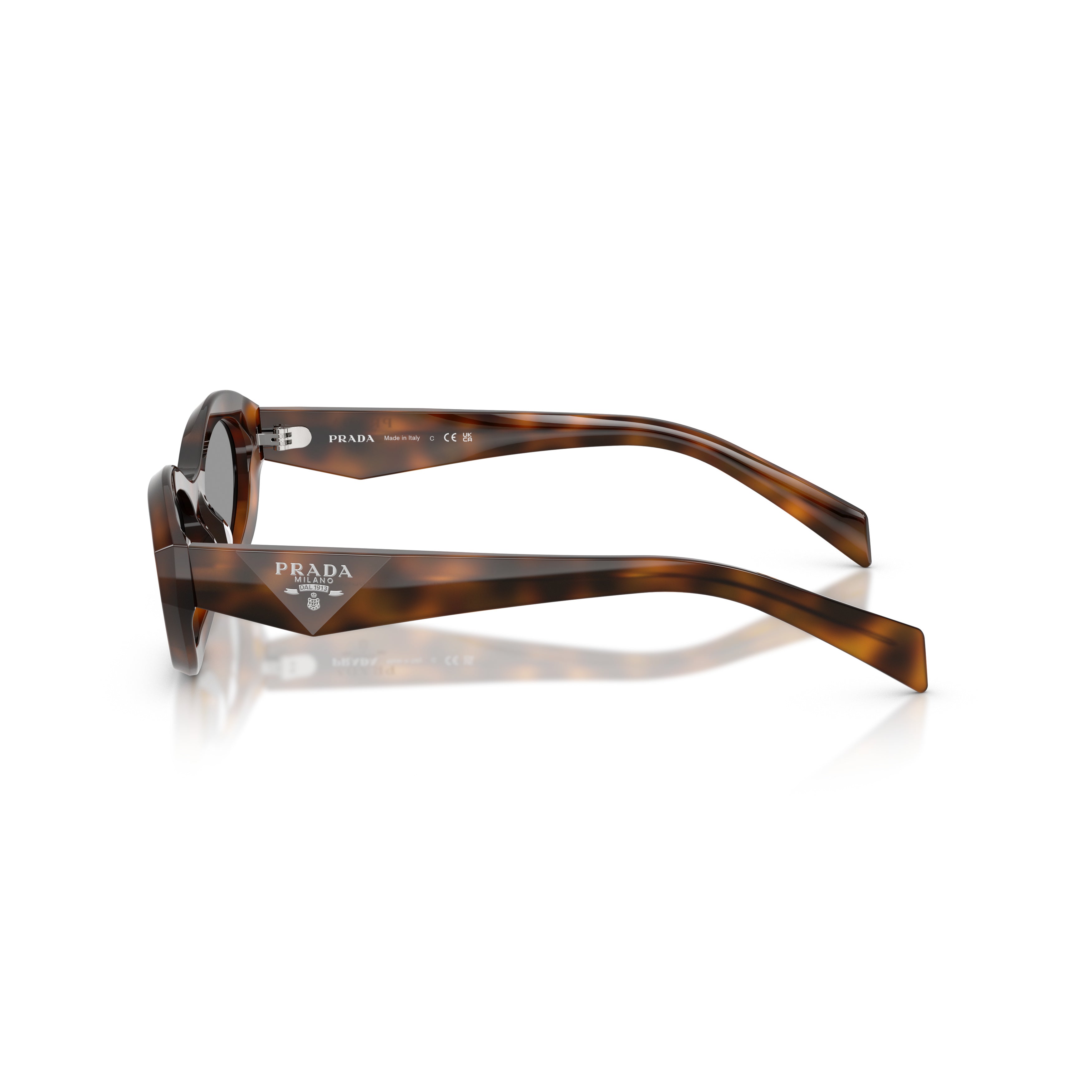 0pr 26zs Cat-Eye Tortoiseshell Acetate Sunglasses