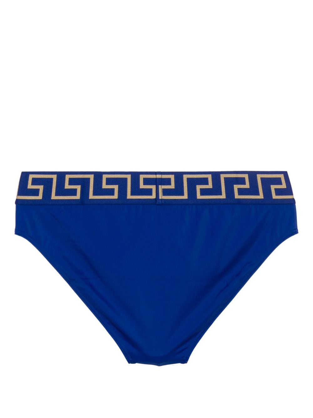 Blue Swim Brief