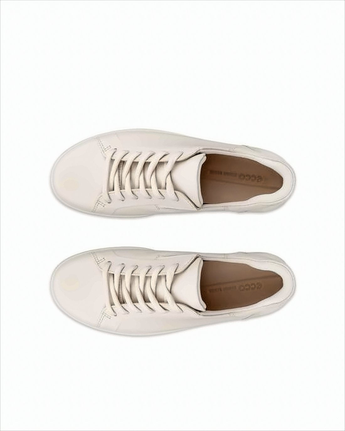 Minimalist Low-Top Sneakers with Padded Collar