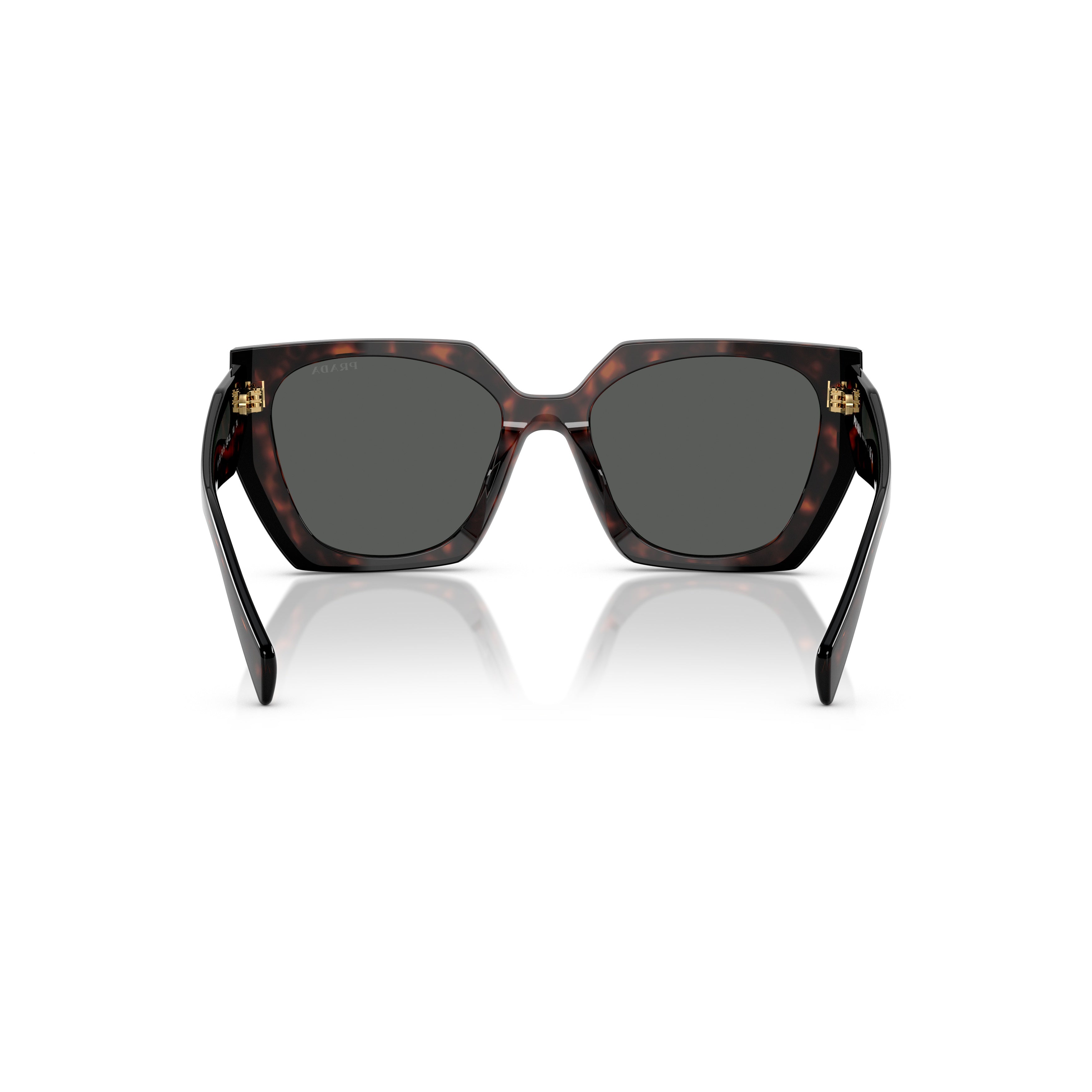 0pr 15ws Oversized Tortoiseshell Acetate Sunglasses