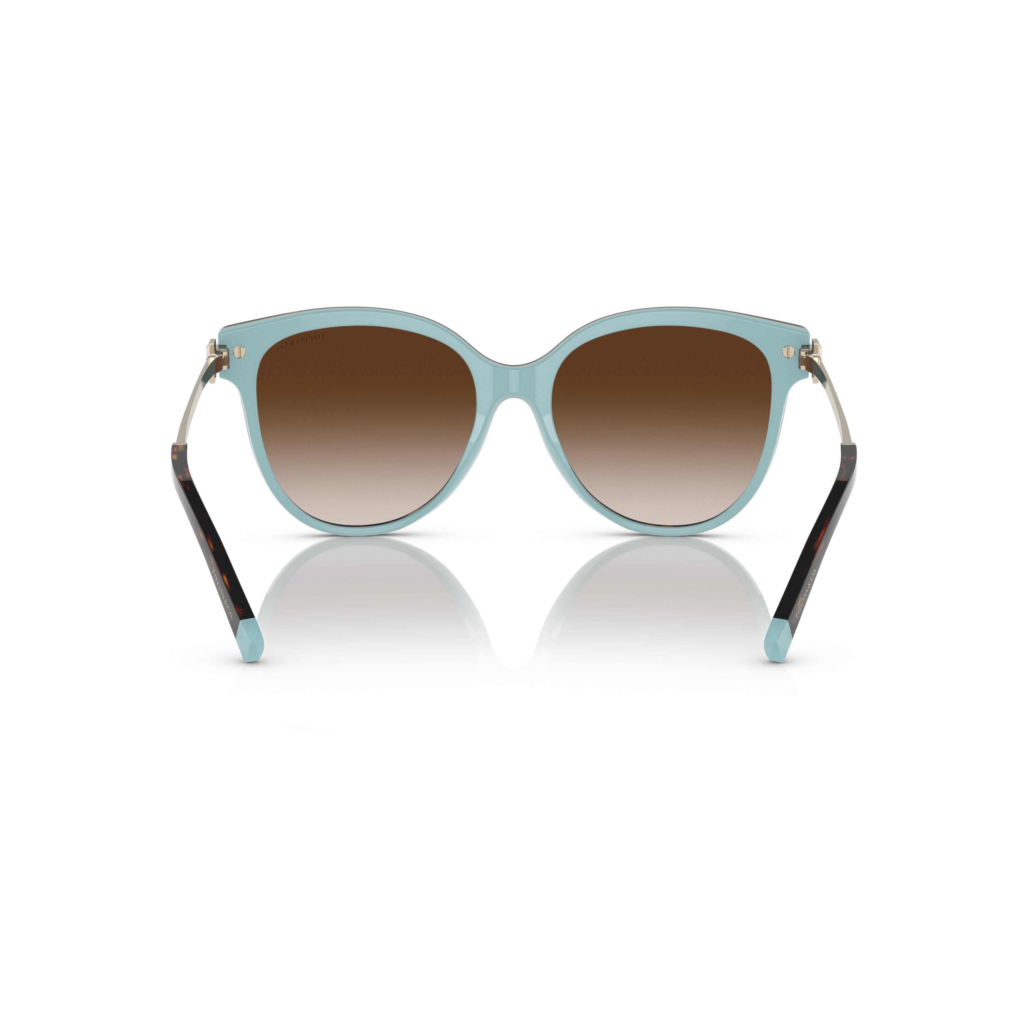 0tf4193b Rounded Tortoiseshell Sunglasses