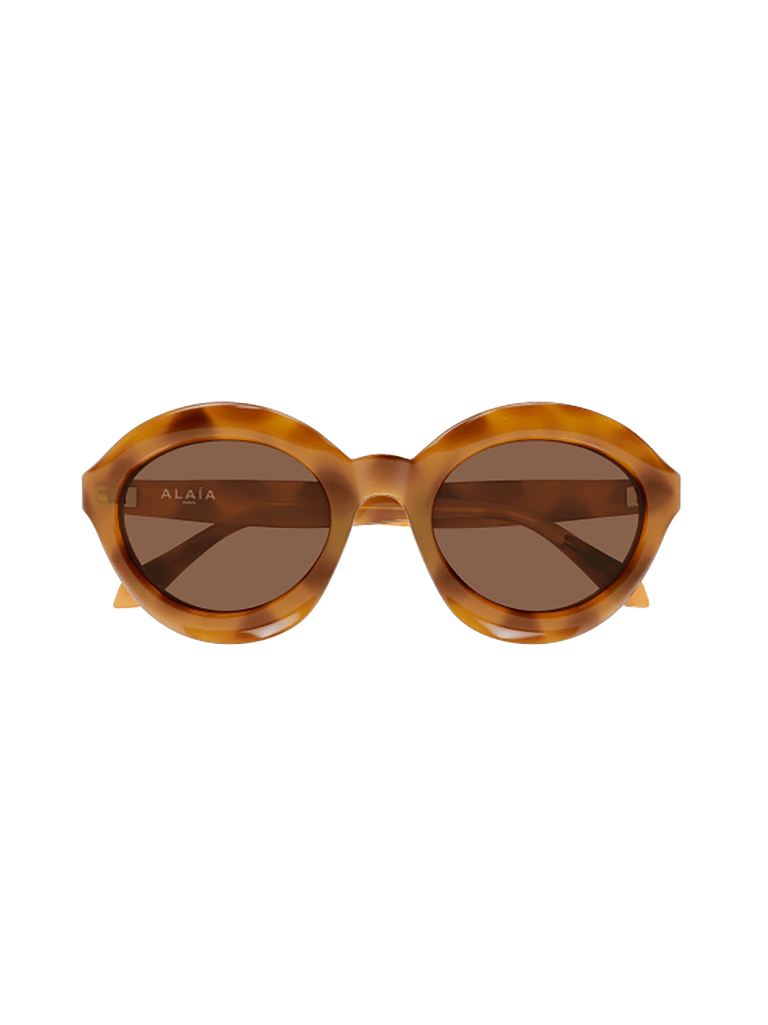 Aa0088S Brown Sunglasses 145Mm Temple
