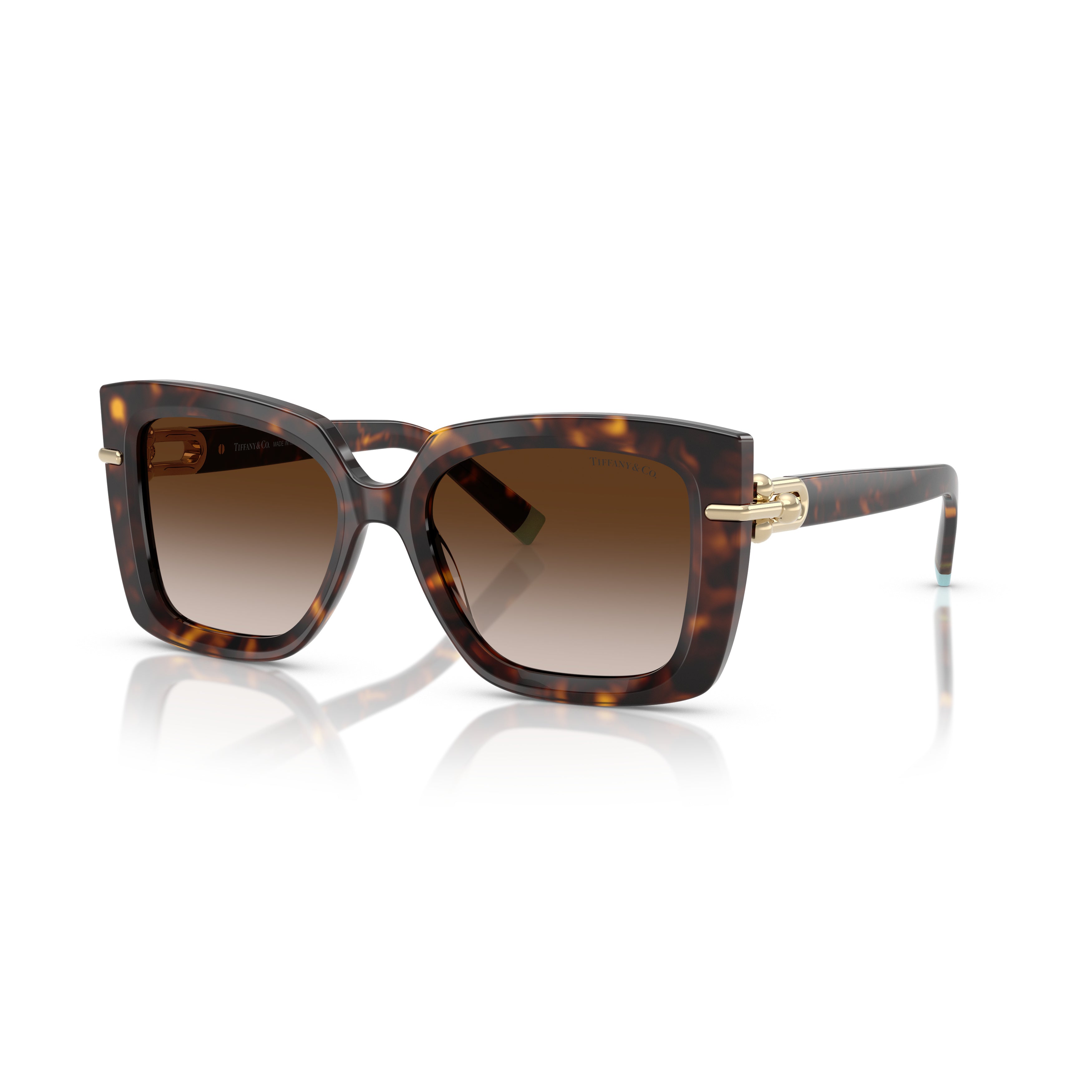 0tf4199 Oversized Tortoiseshell Square Sunglasses